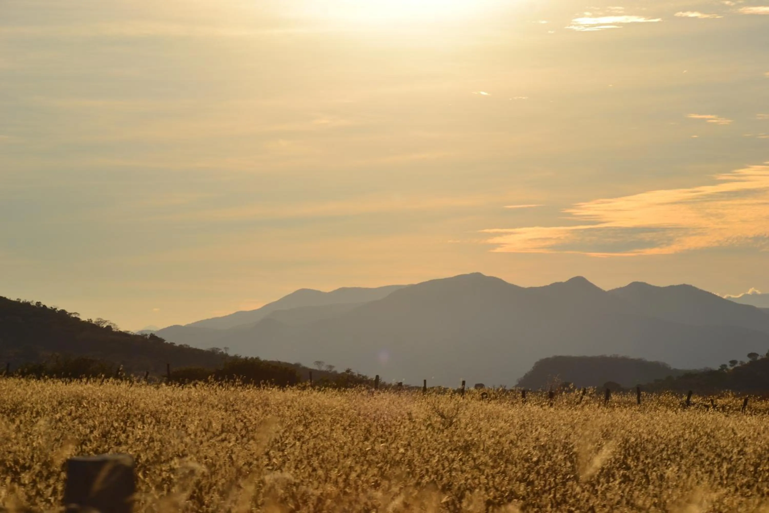 Off site in Hotel La Casona