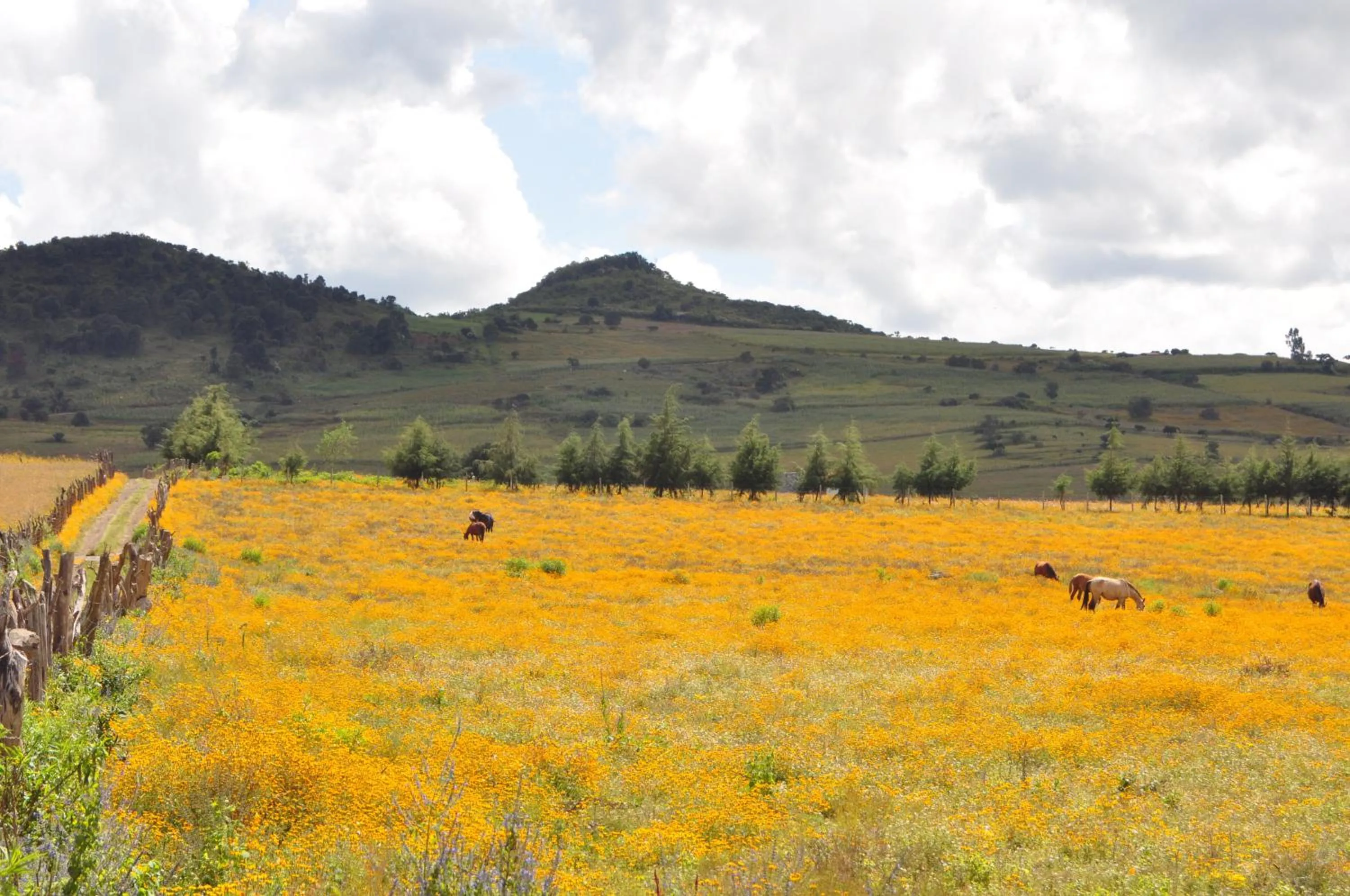 Off site in Hotel La Casona