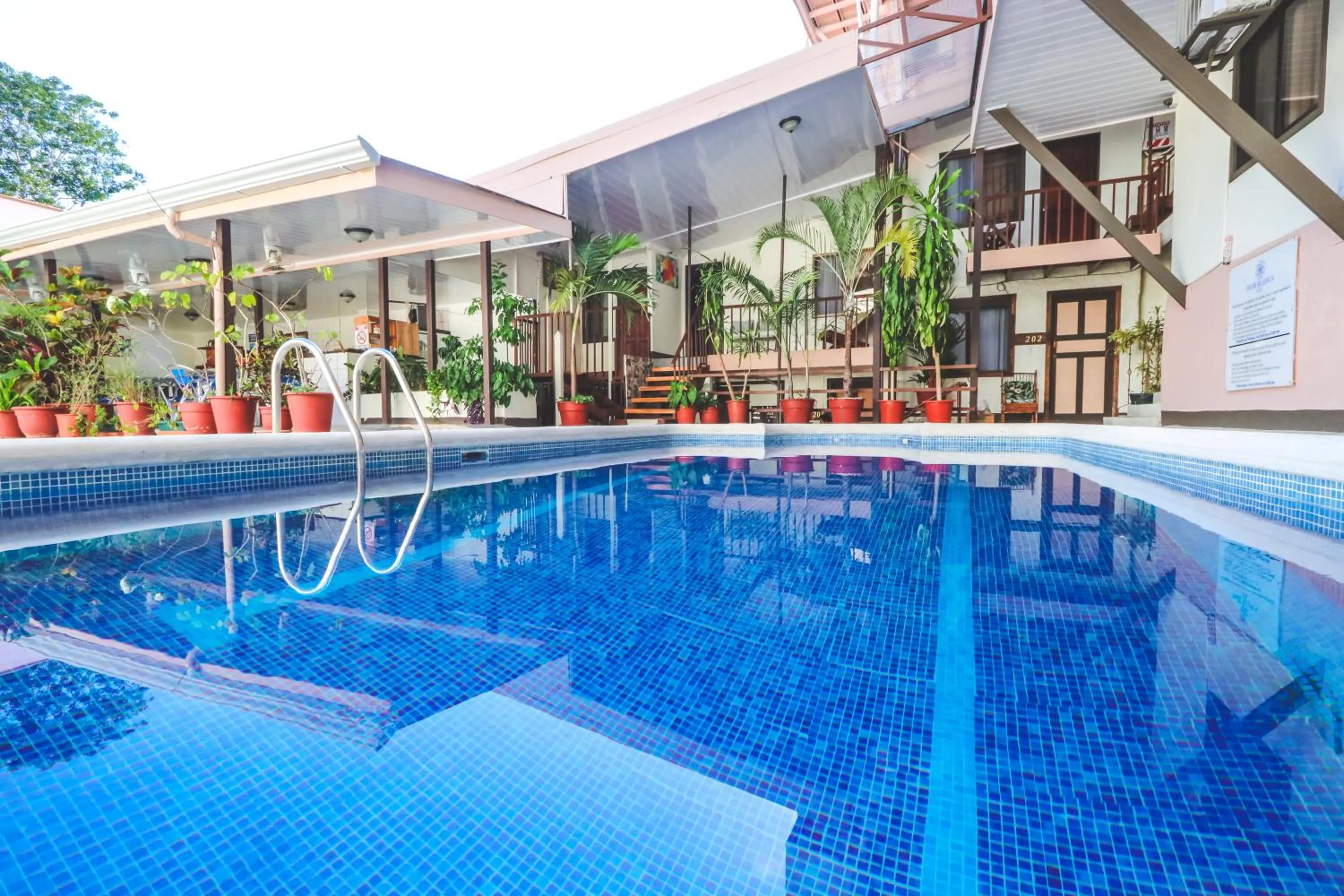 Swimming pool in Hotel Flor Blanca