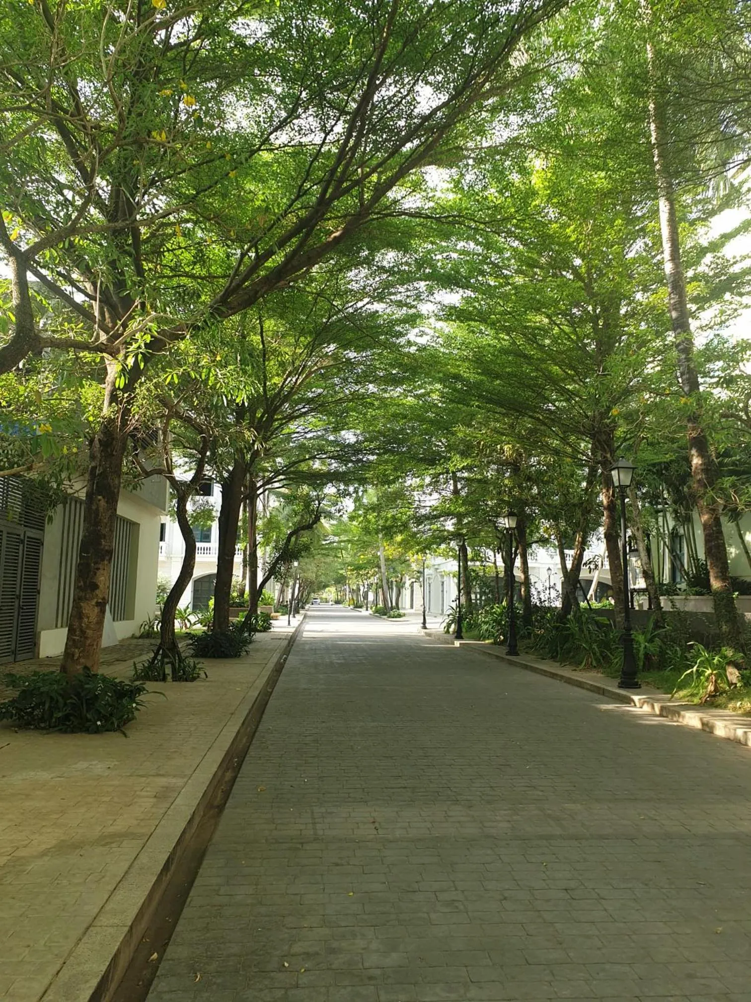 Spring in Green Inn Phu Quoc Hotel