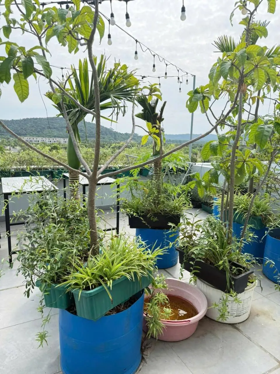 Spring in Green Inn Phu Quoc Hotel