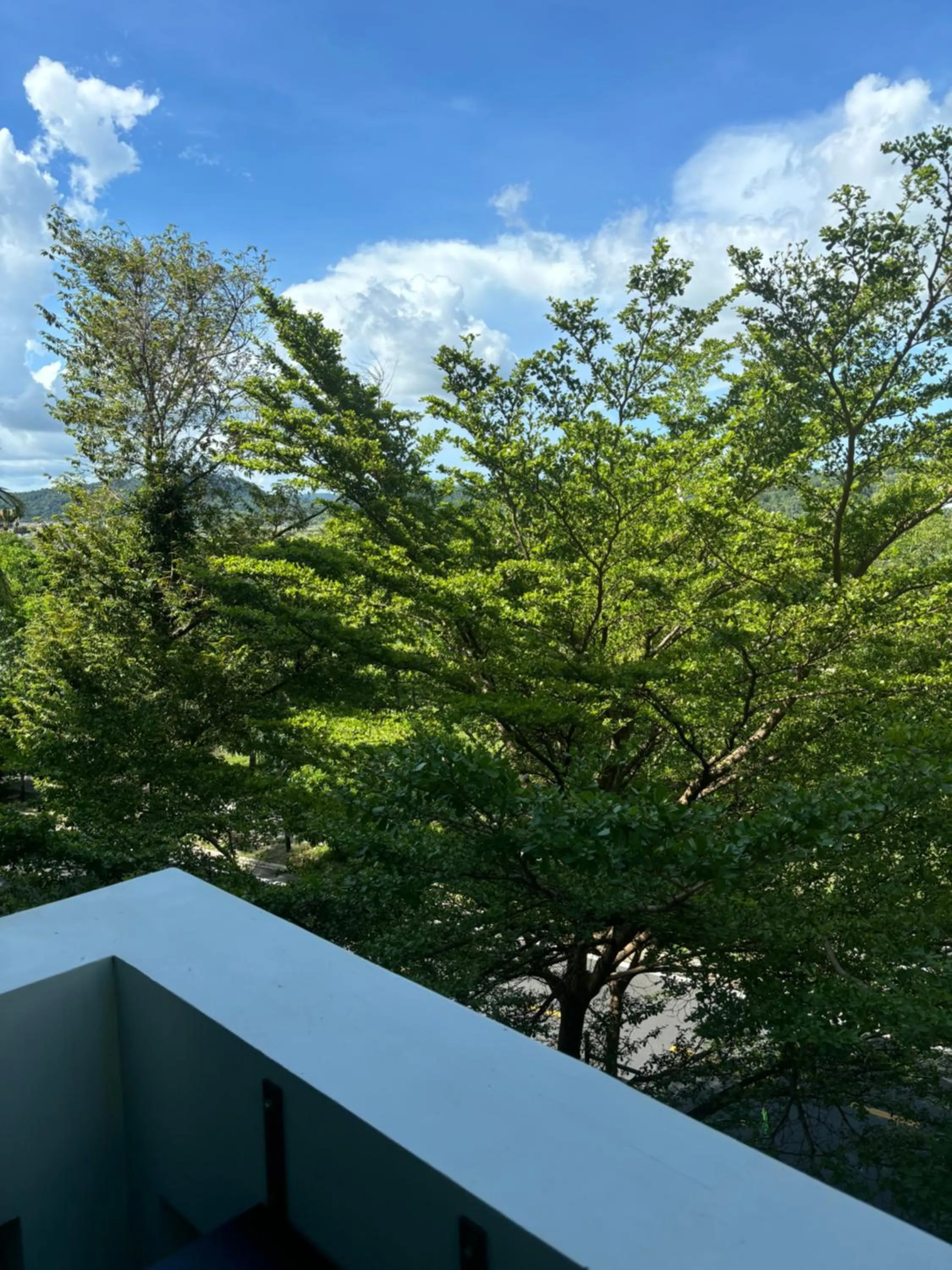 Spring in Green Inn Phu Quoc Hotel