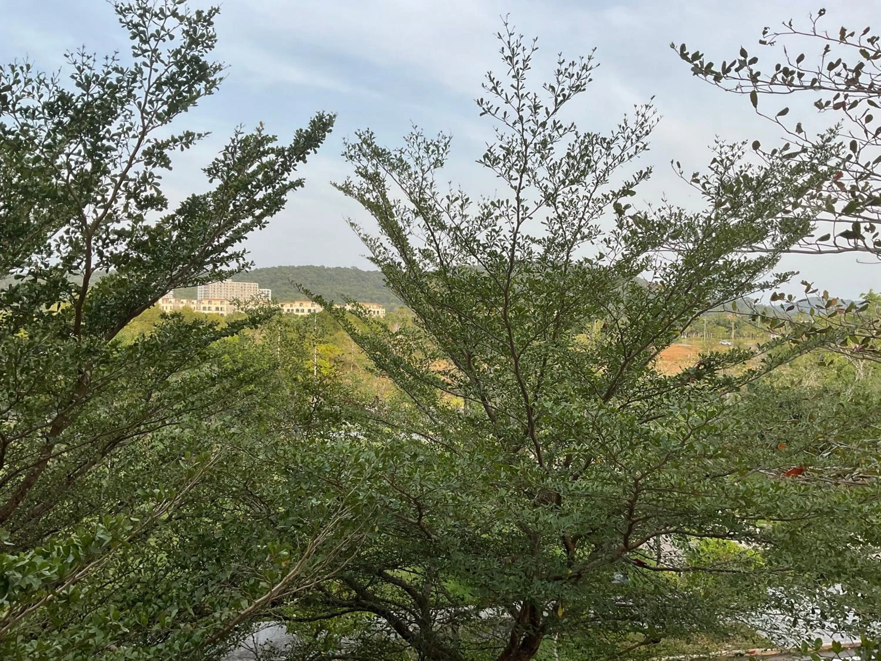 Property building in Green Inn Phu Quoc Hotel