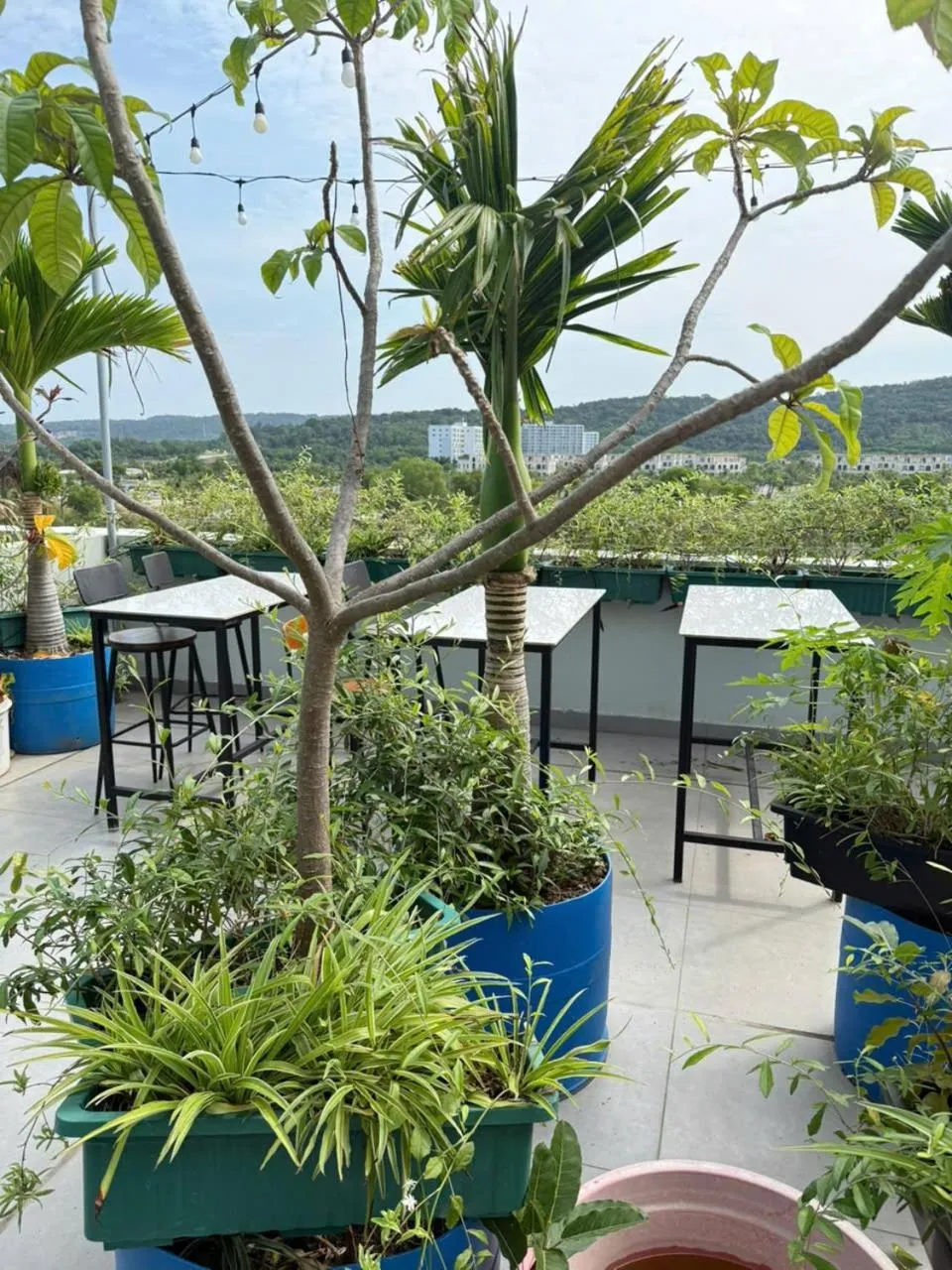 Spring in Green Inn Phu Quoc Hotel