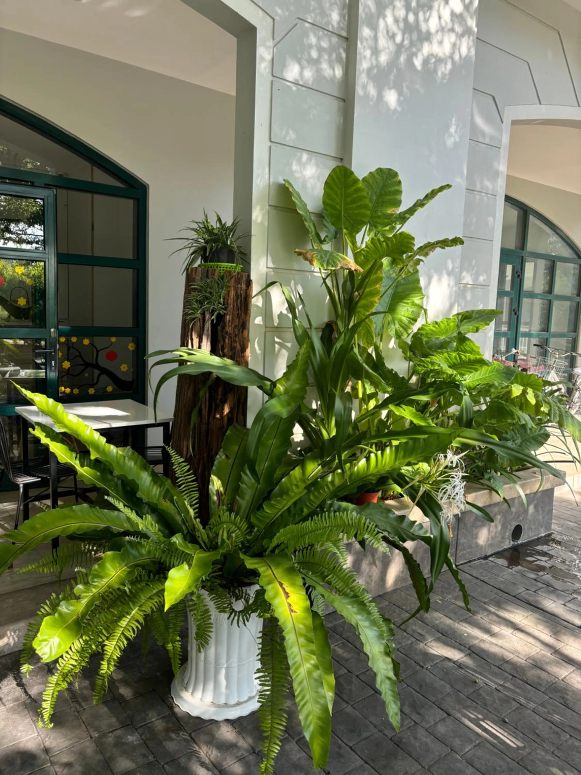 Spring in Green Inn Phu Quoc Hotel