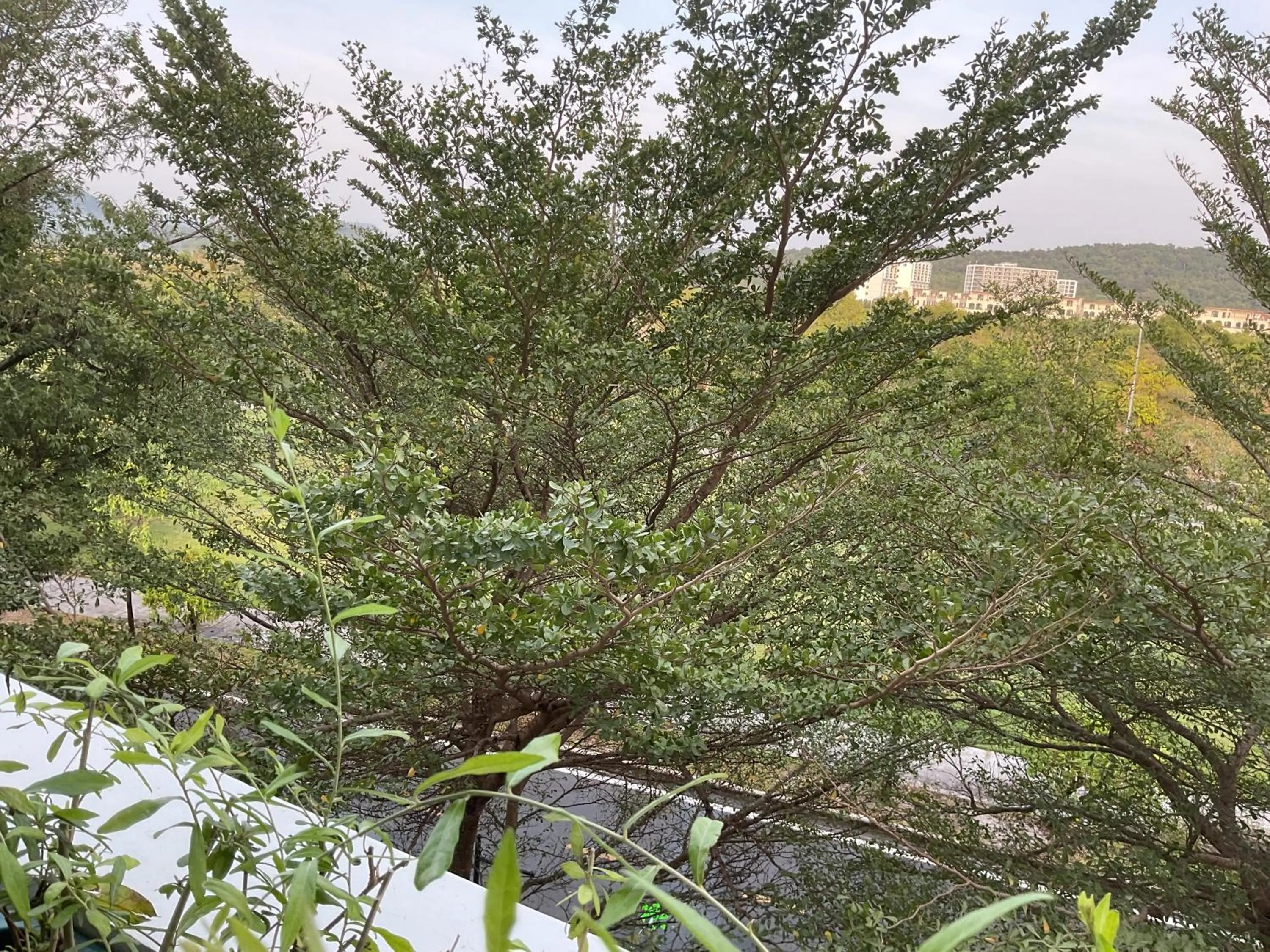 Property building in Green Inn Phu Quoc Hotel