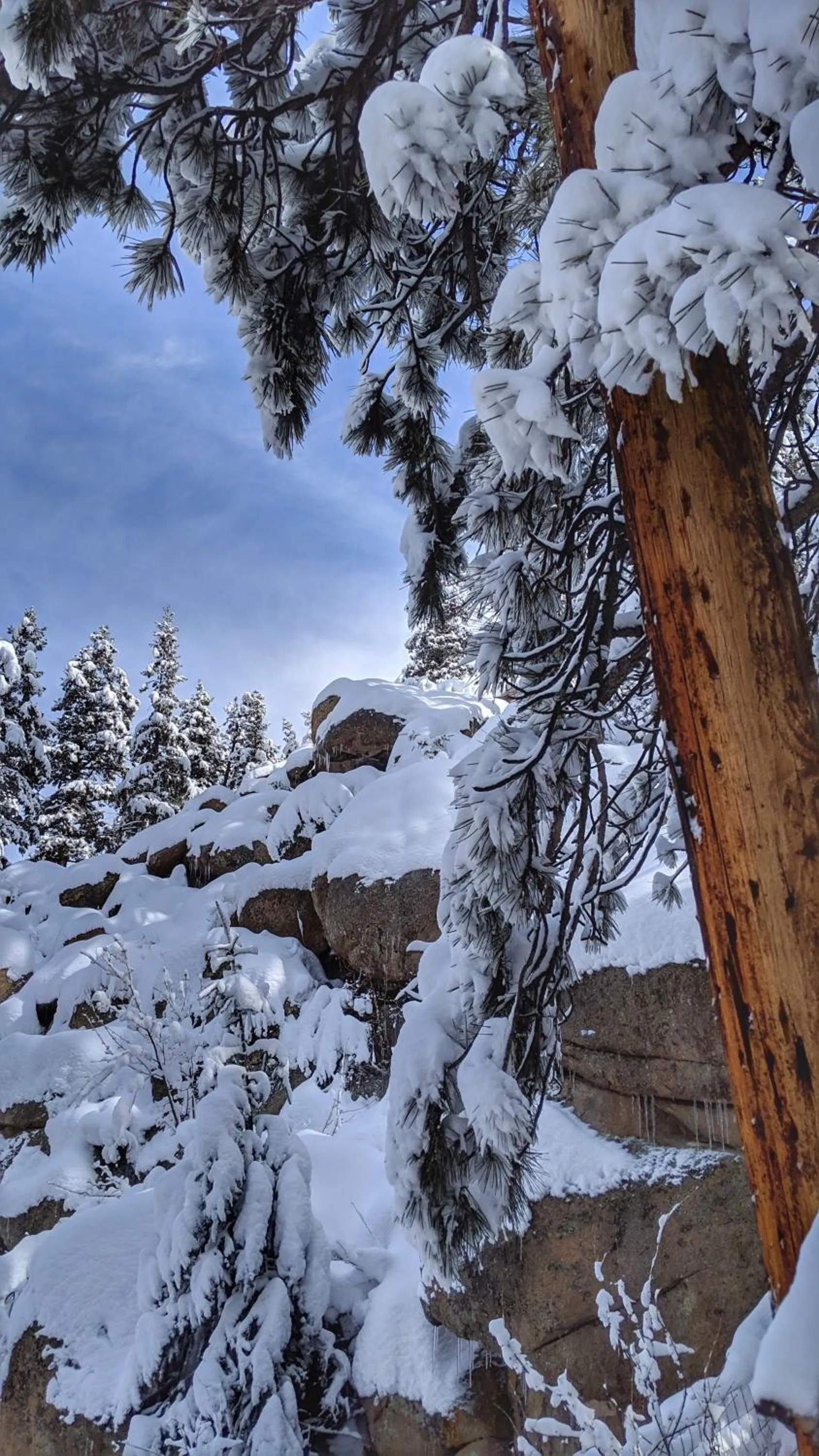 Winter in Alpen Way Chalet Mountain Lodge