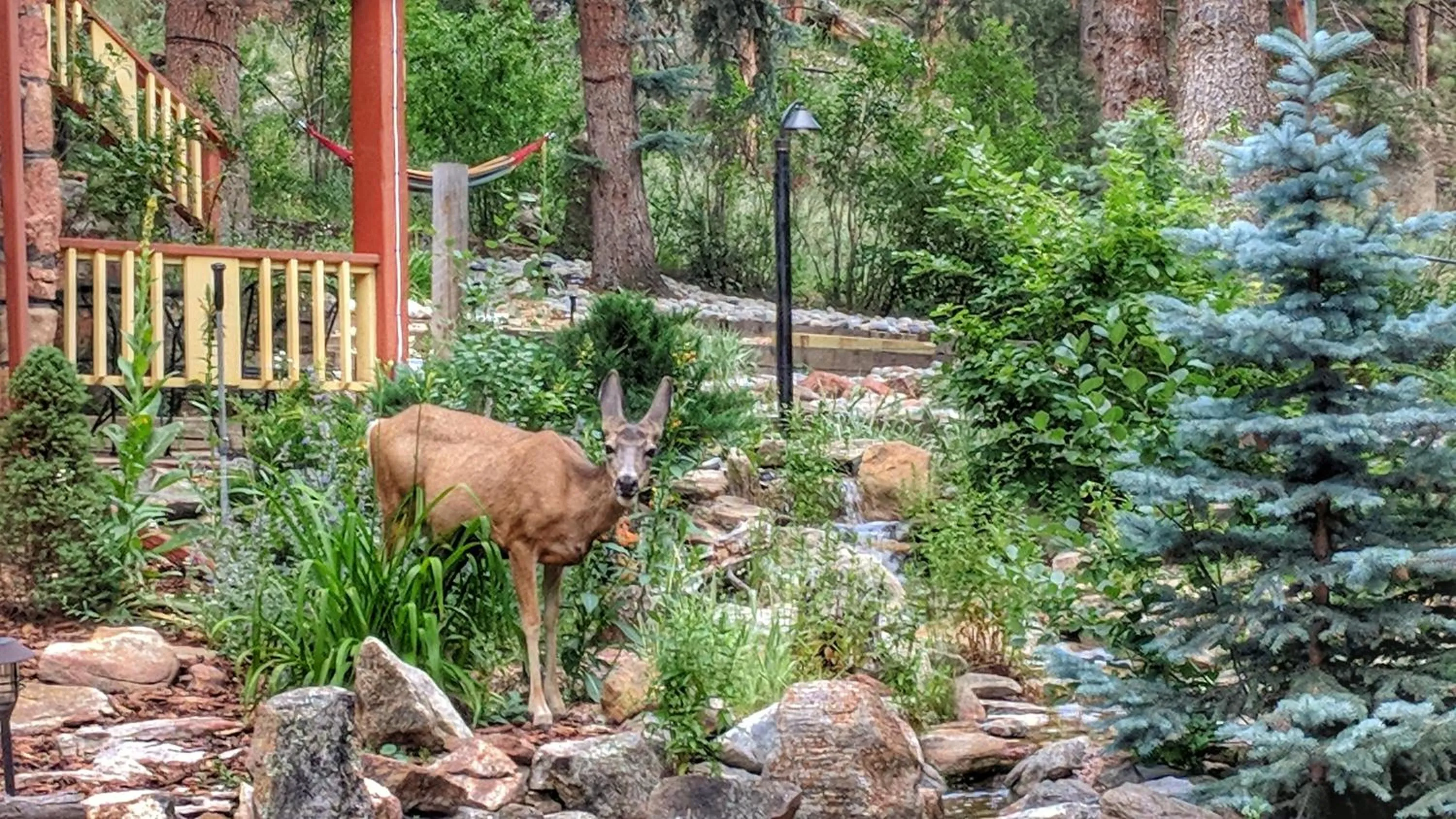 Patio in Alpen Way Chalet Mountain Lodge