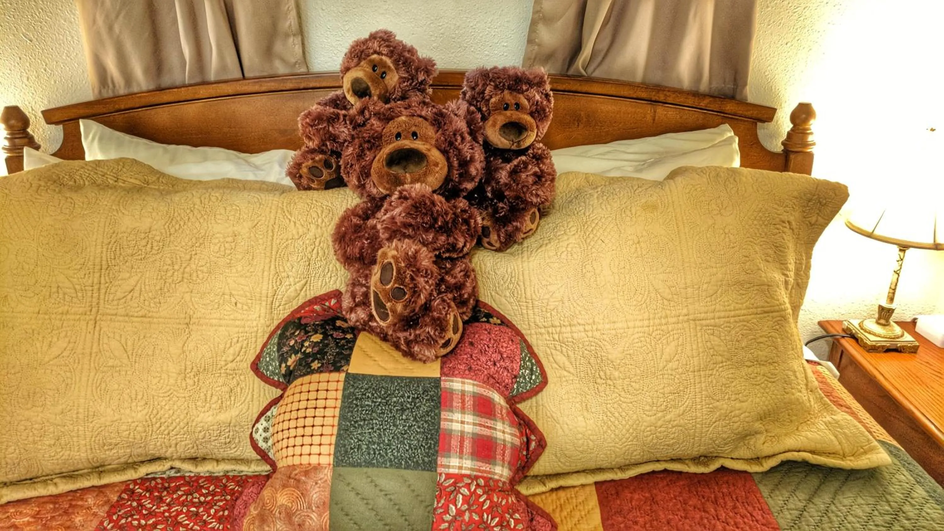 Bed in Alpen Way Chalet Mountain Lodge