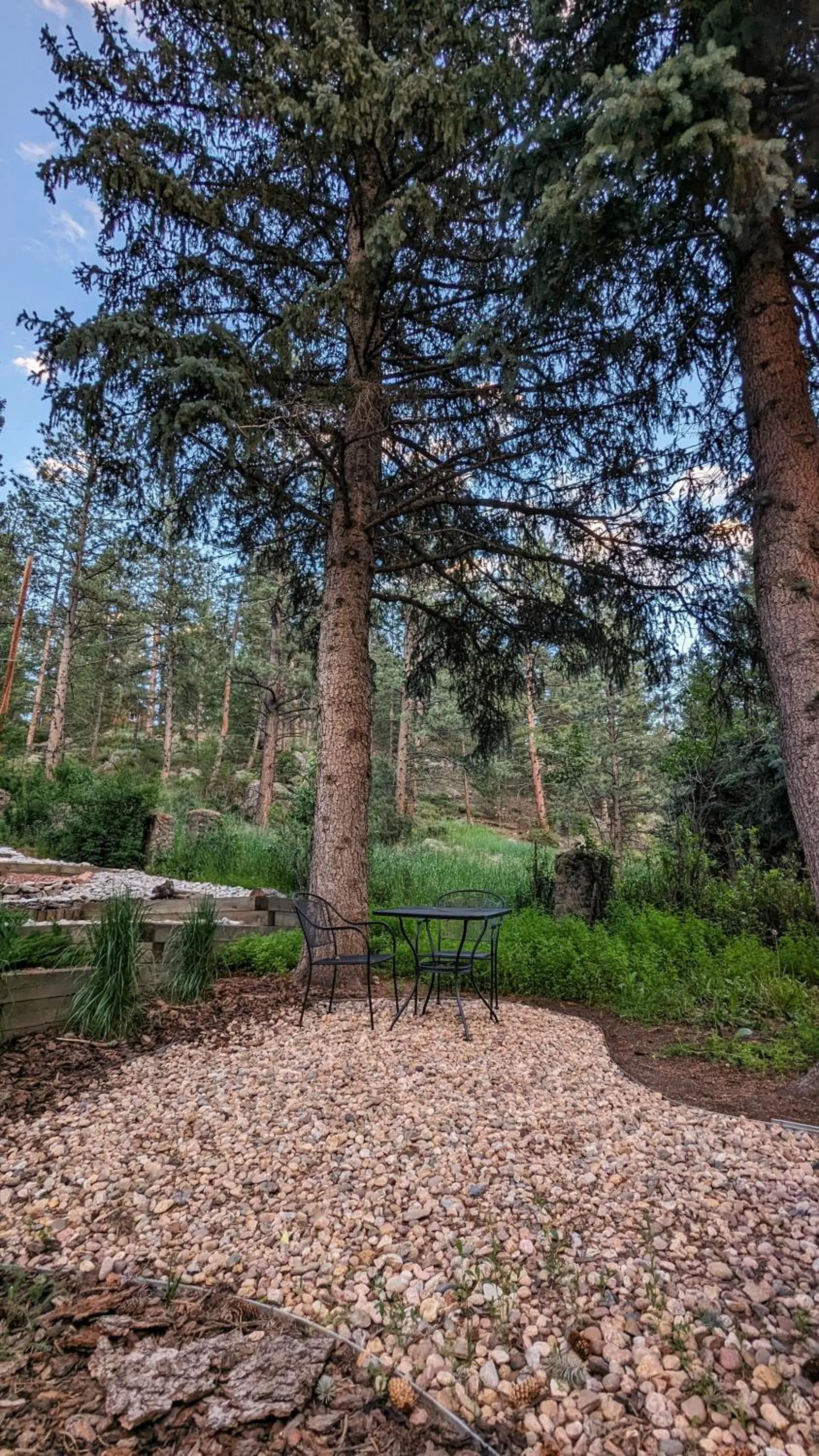 Garden in Alpen Way Chalet Mountain Lodge