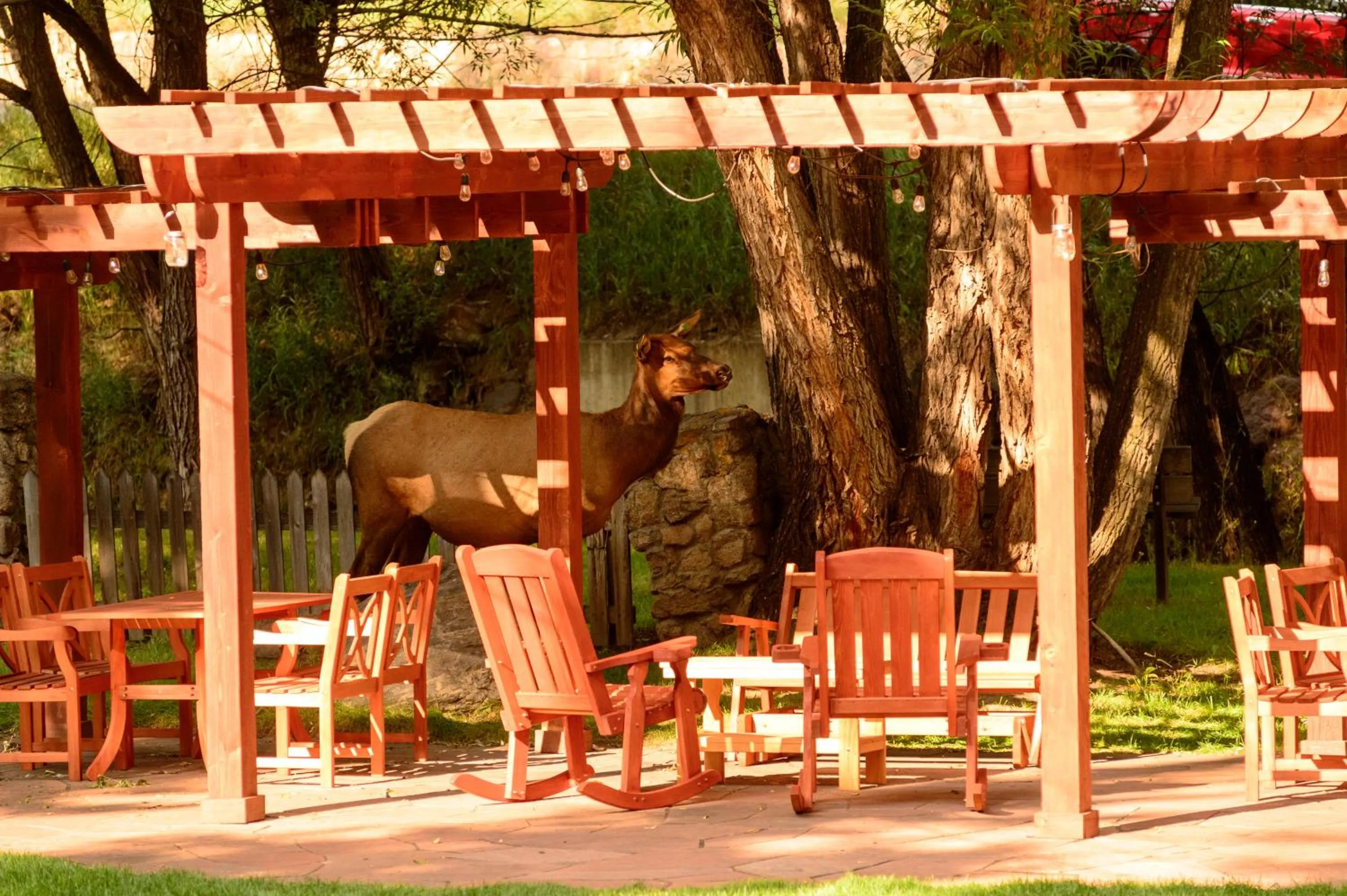 Animals in Alpen Way Chalet Mountain Lodge