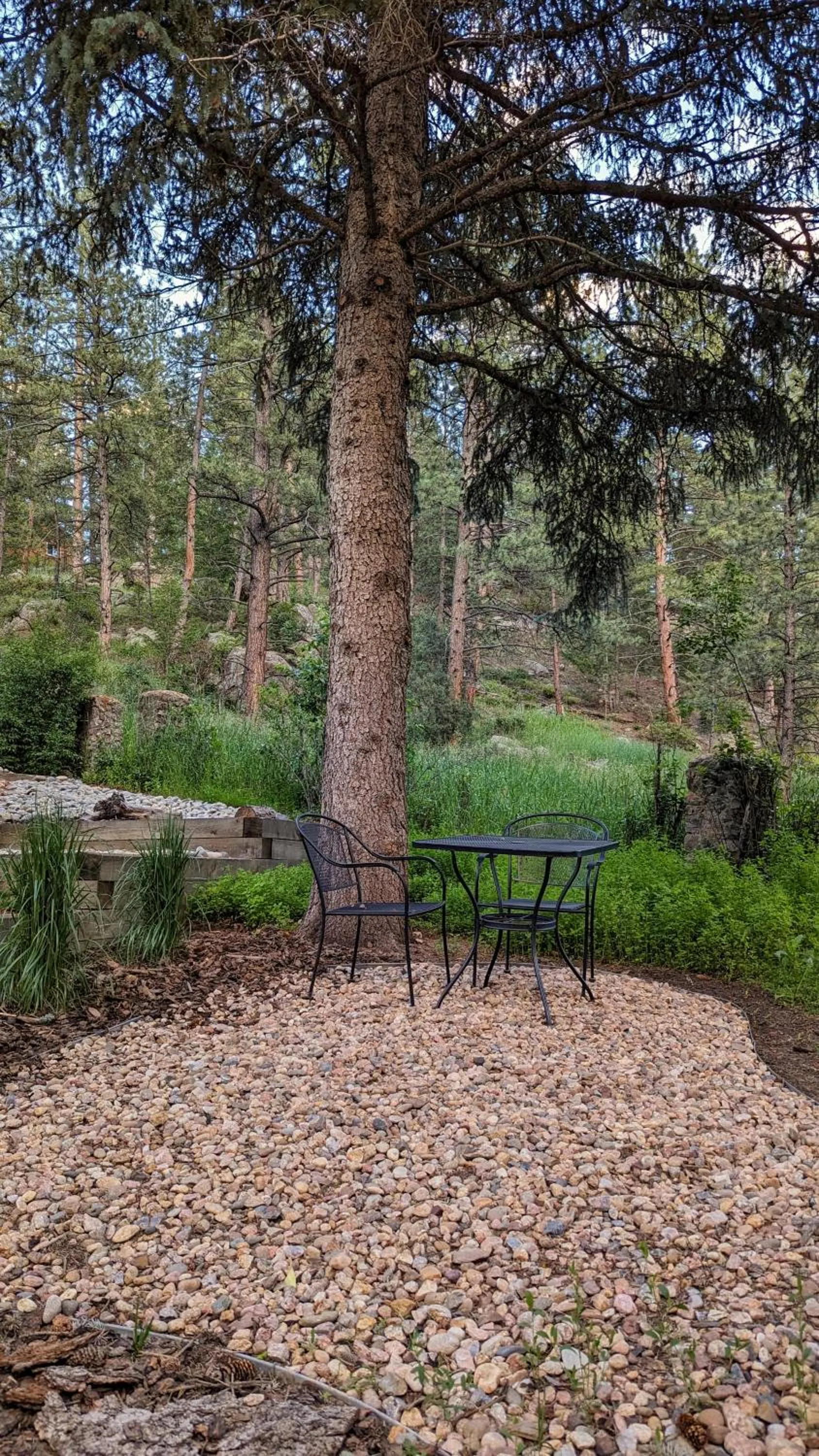 Garden in Alpen Way Chalet Mountain Lodge