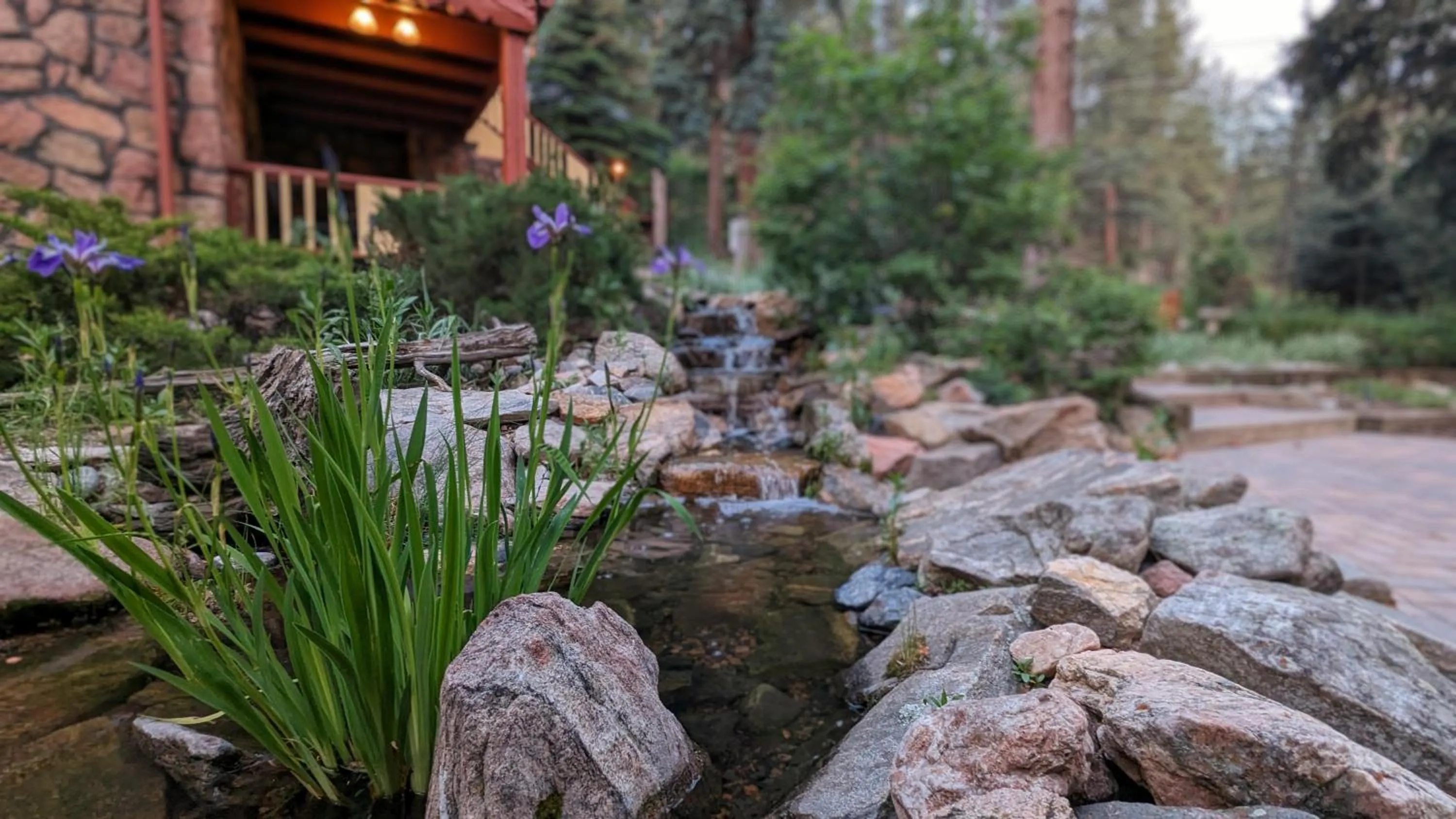 Garden in Alpen Way Chalet Mountain Lodge