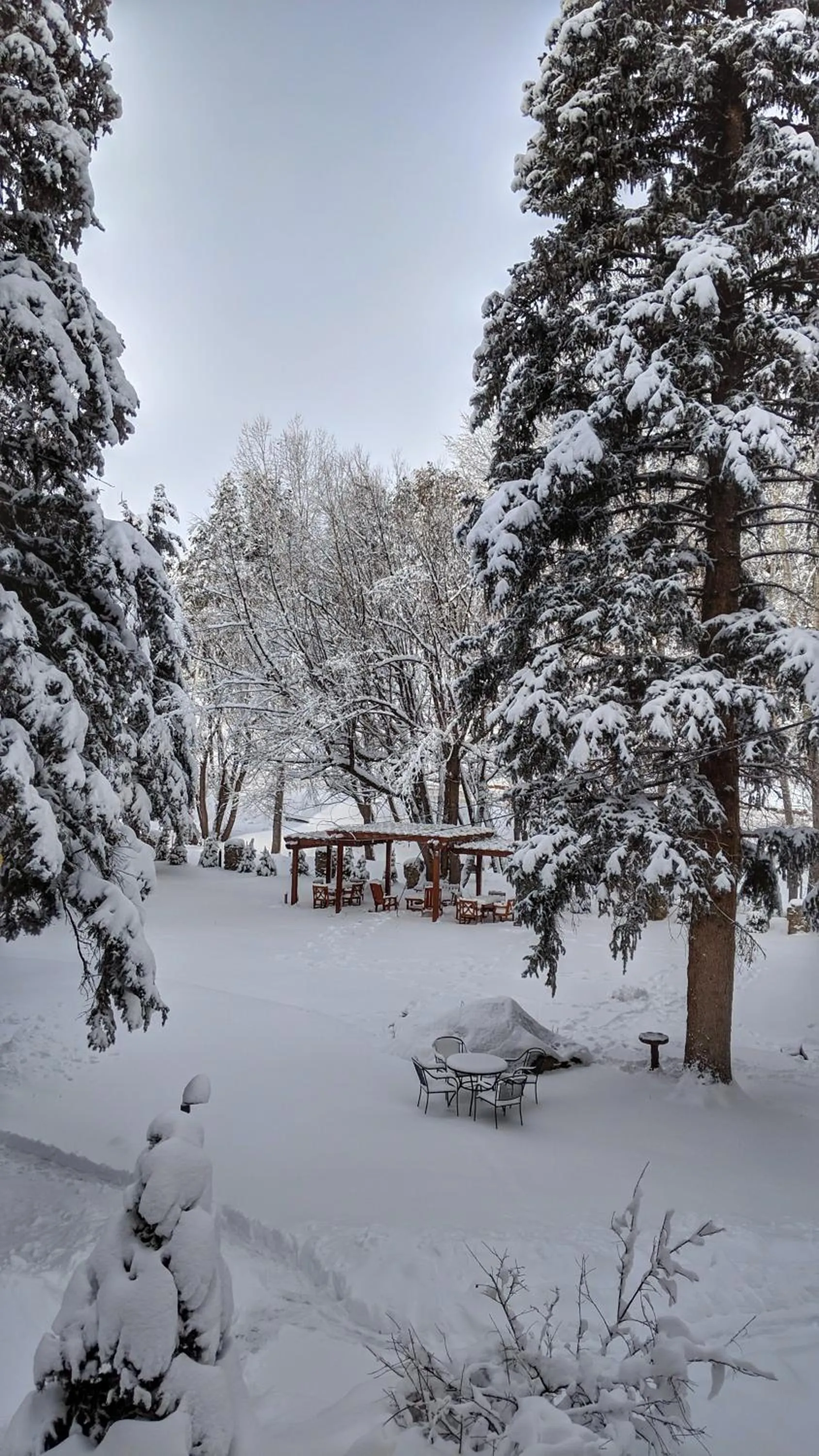 Winter in Alpen Way Chalet Mountain Lodge