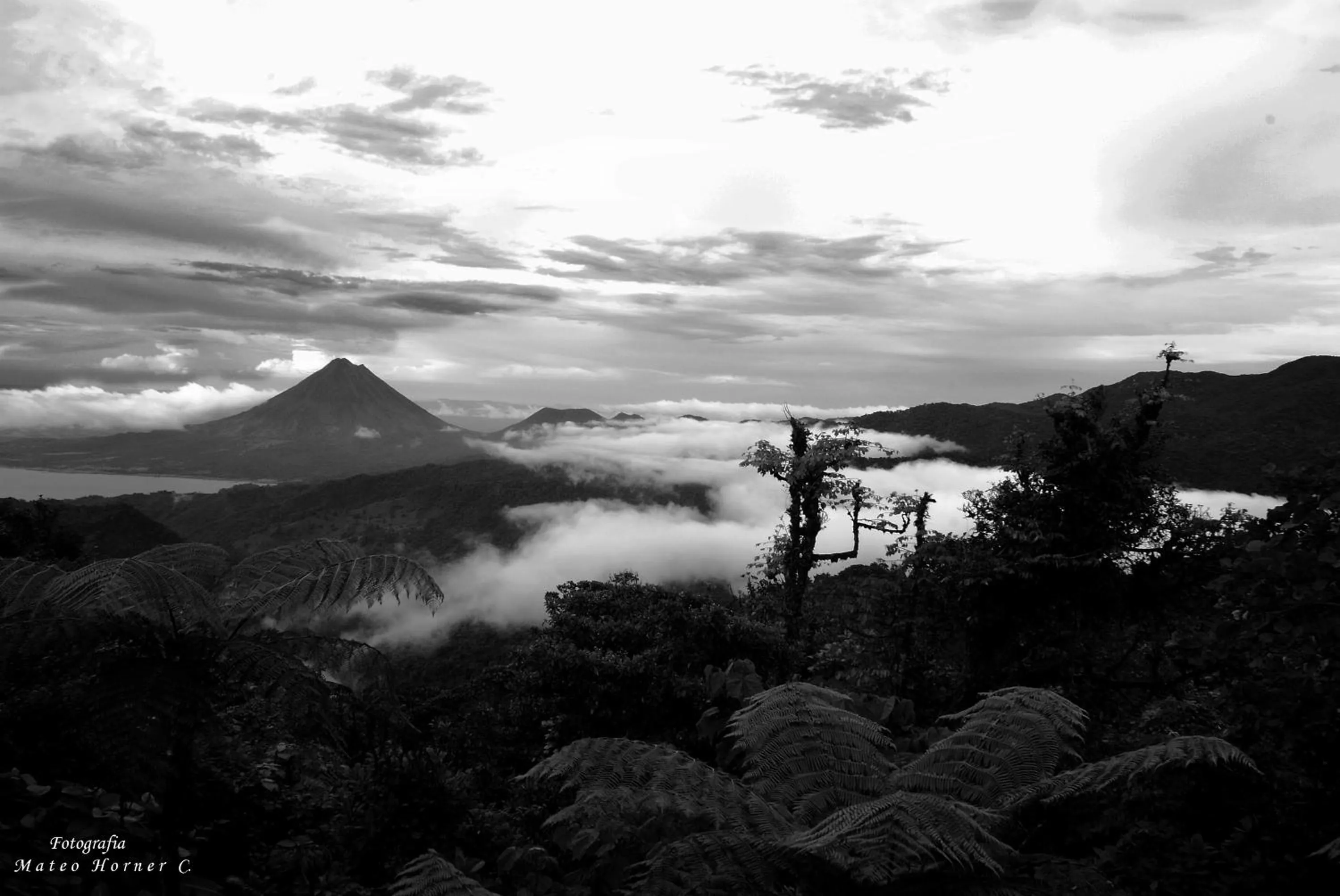 Natural landscape in Vistaverde Lodge