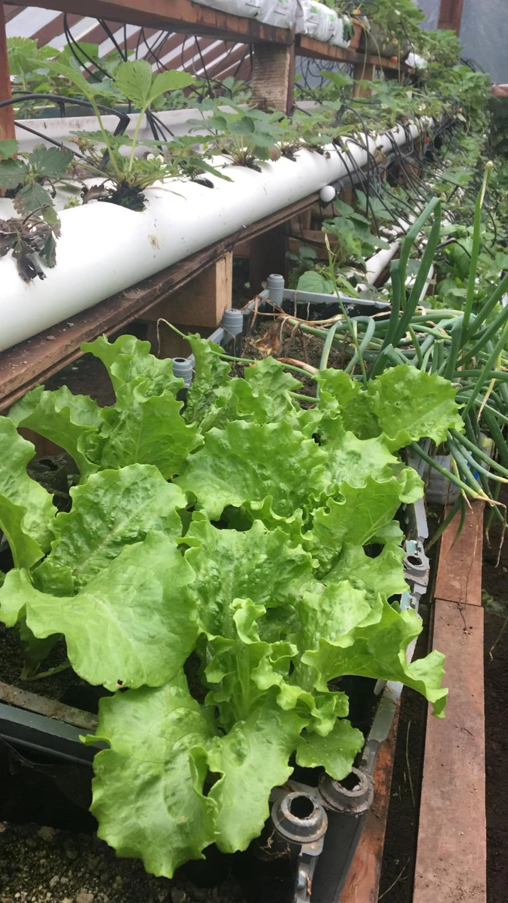 Nearby landmark in Vistaverde Lodge