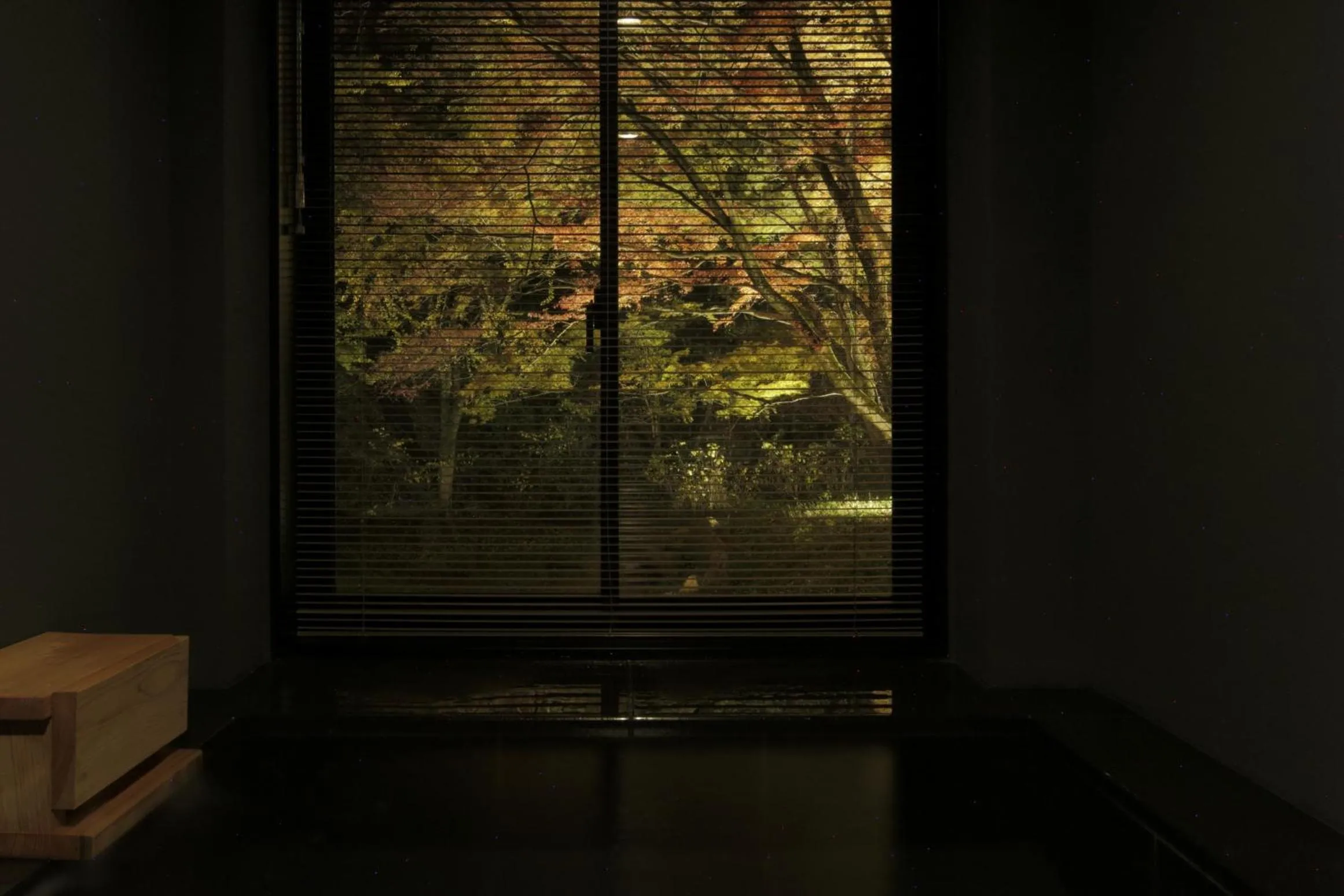 Hot Spring Bath in Boscage Kariya