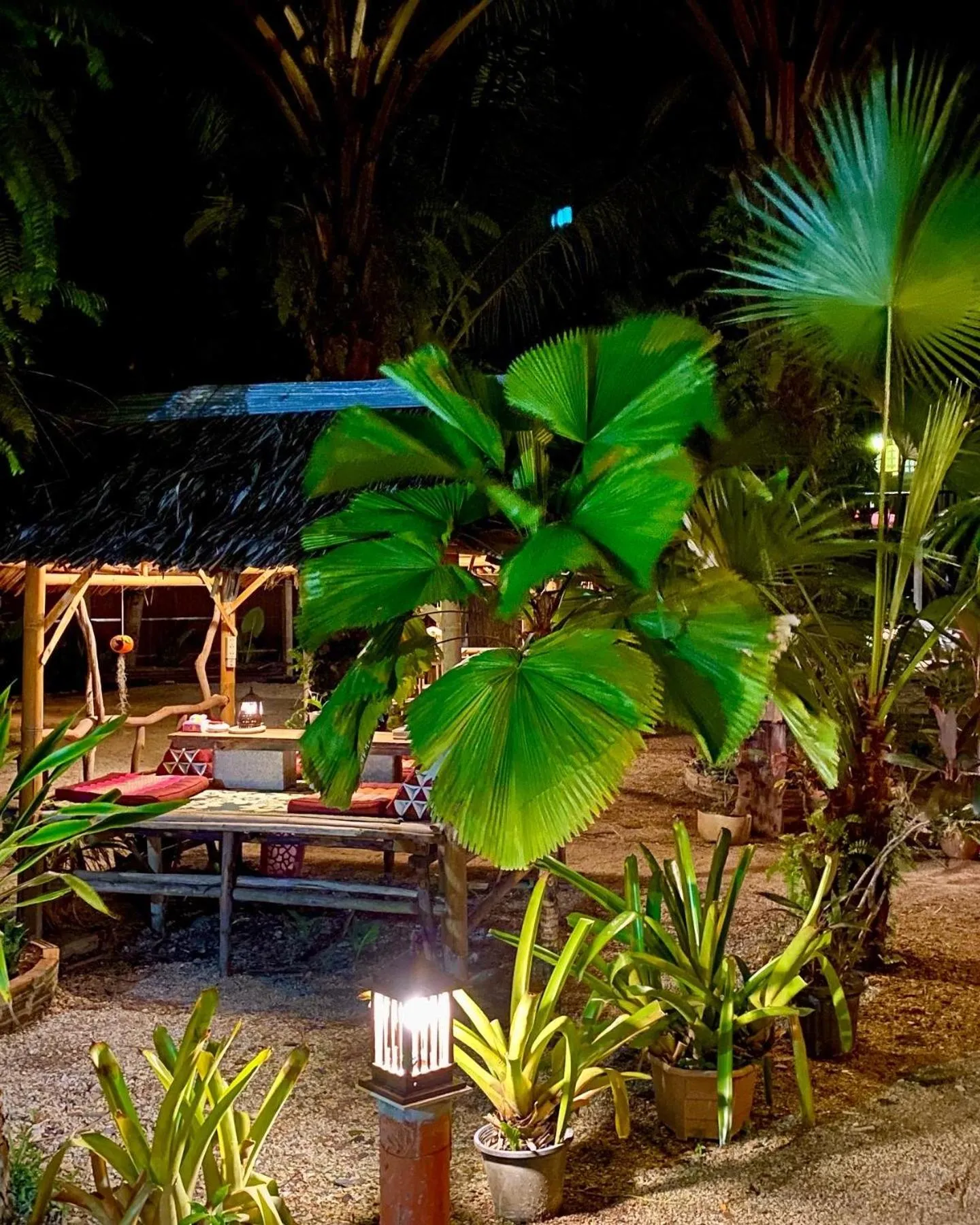 Property building in Leaf House Bungalows SHA PLUS approved