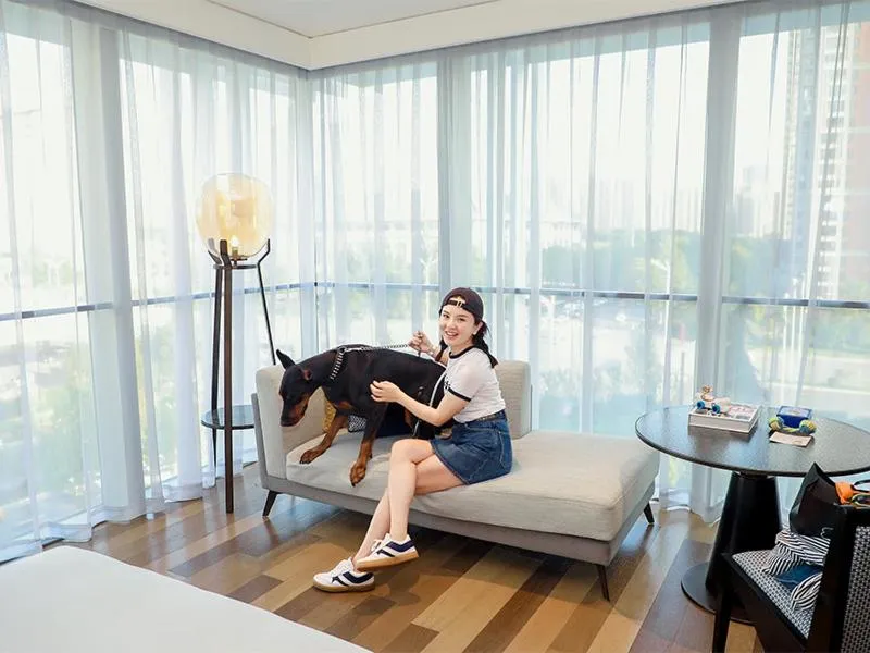 Pets in Hyatt Centric Gaoxin Xi'An