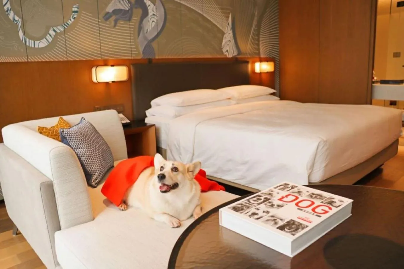 pet friendly, Bed in Hyatt Centric Gaoxin Xi'An