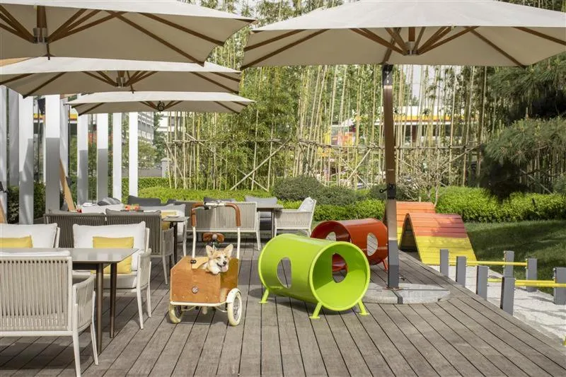 Animals in Hyatt Centric Gaoxin Xi'An