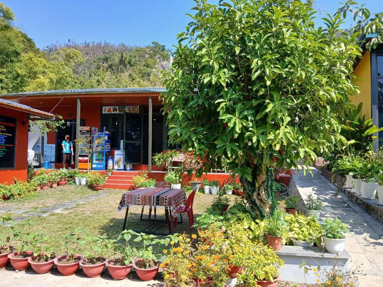 Restaurant/places to eat in Catba Papillon Garden Bungalows & Resort