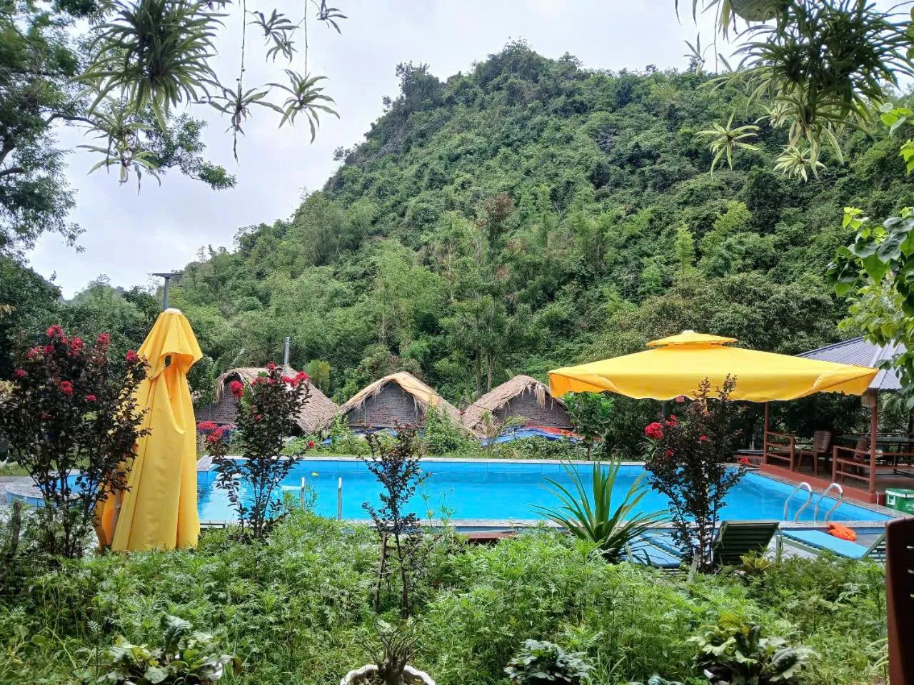 Pool view in Catba Papillon Garden Bungalows & Resort