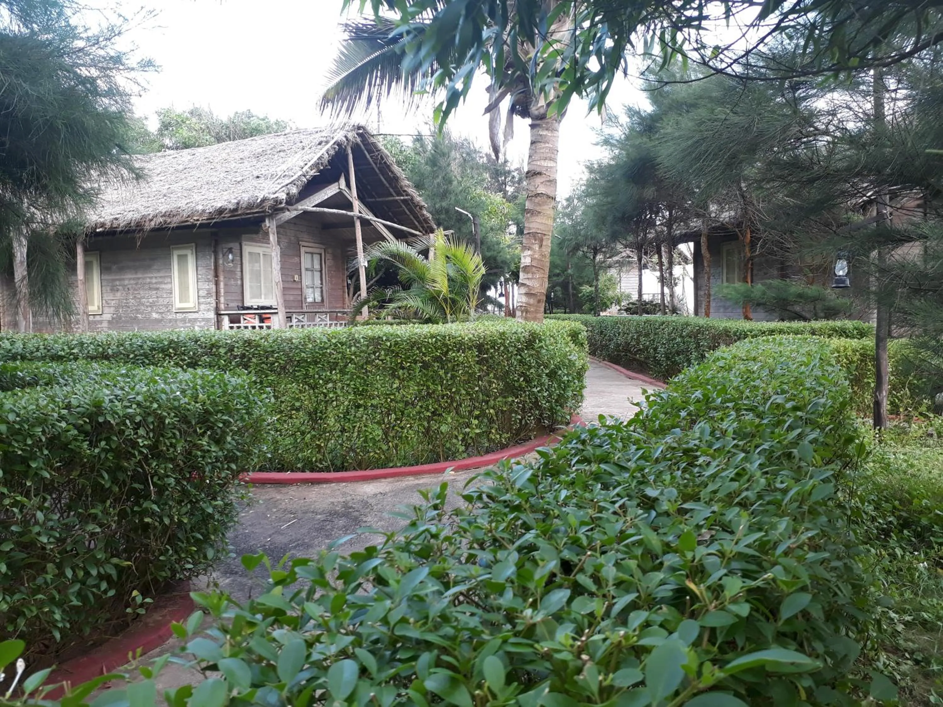 Other in Lotus an Eco Resort Konark
