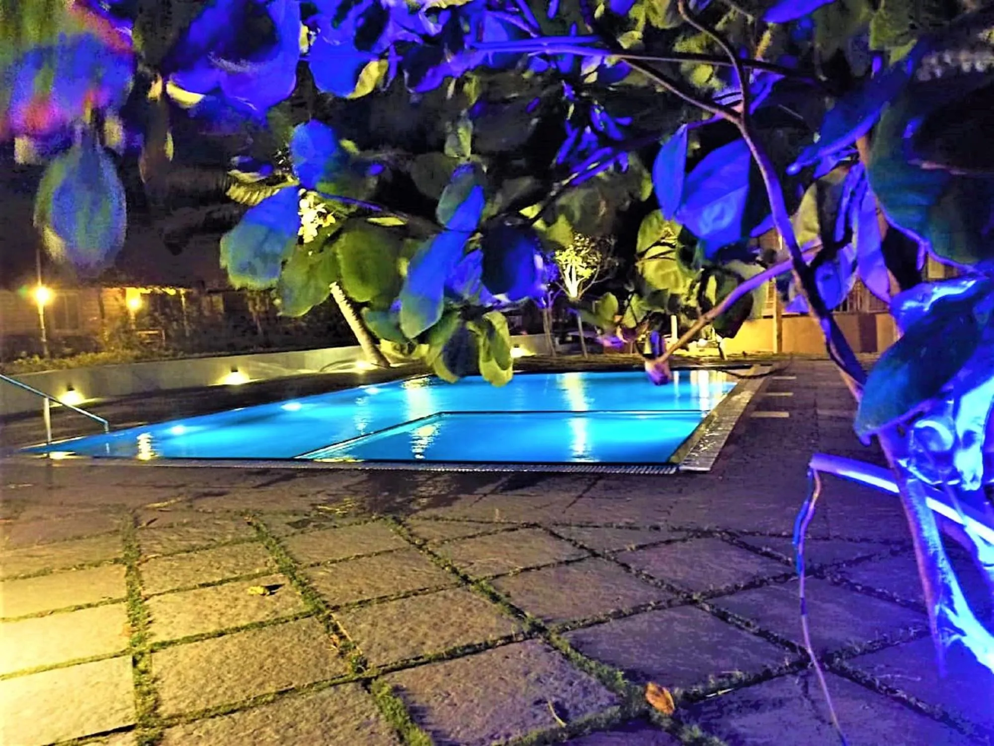 Swimming pool in Lotus an Eco Resort Konark