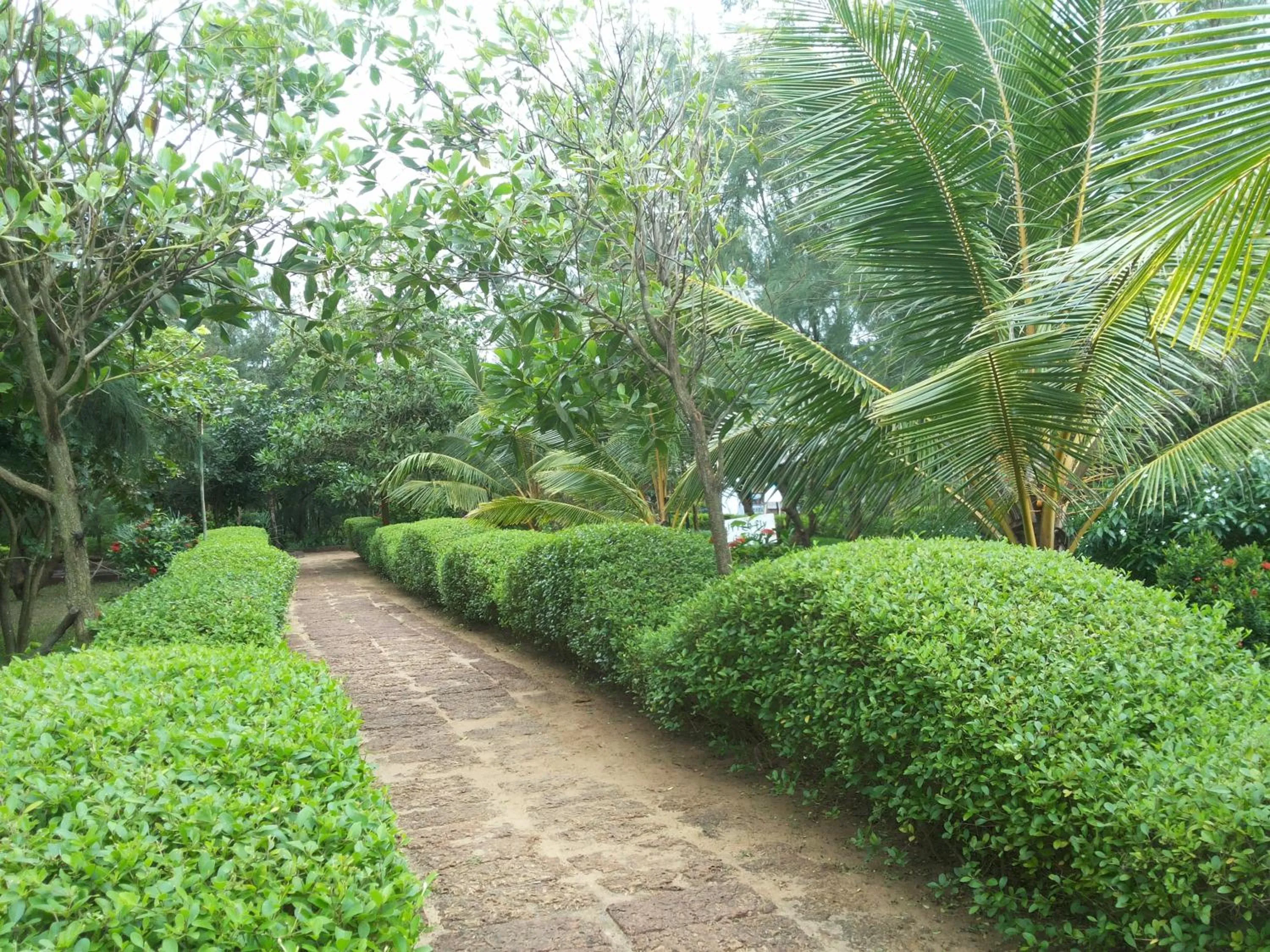 Garden in Lotus an Eco Resort Konark