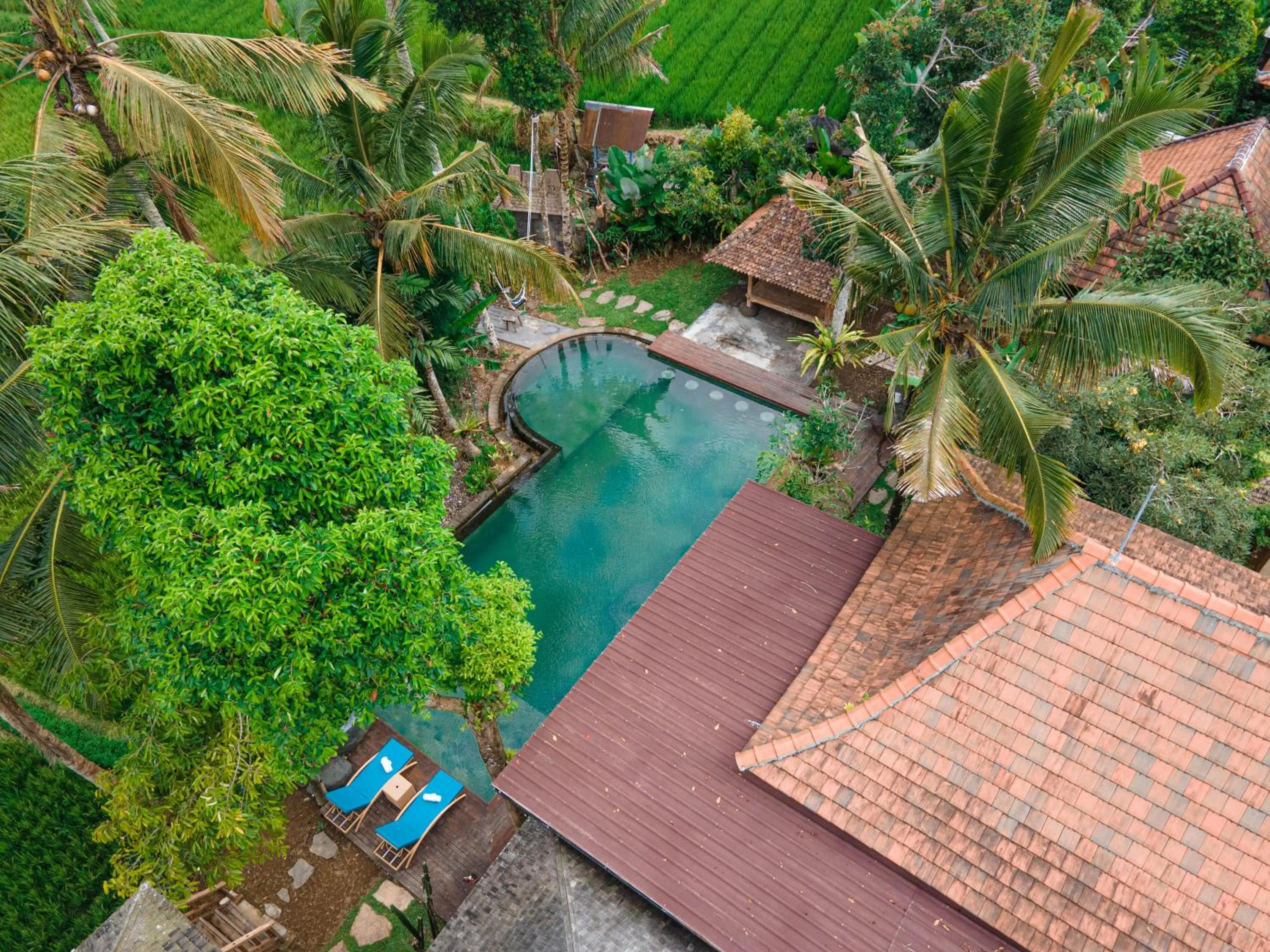 Spring in Uma Linggah Resort by Puri Signatures