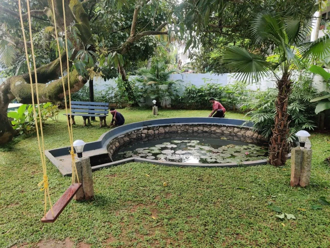 Garden in Alfred Place