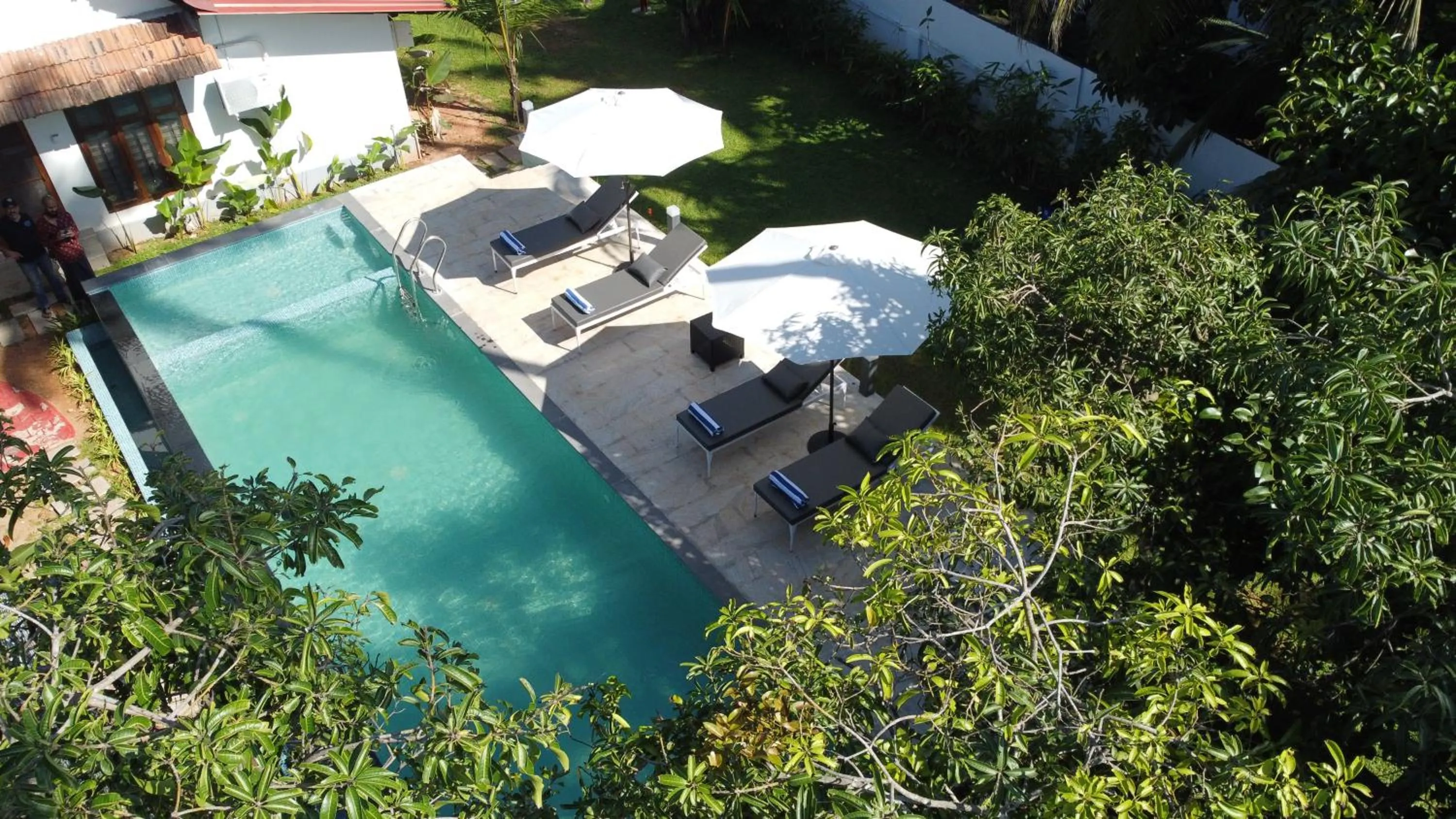 Pool view in Alfred Place