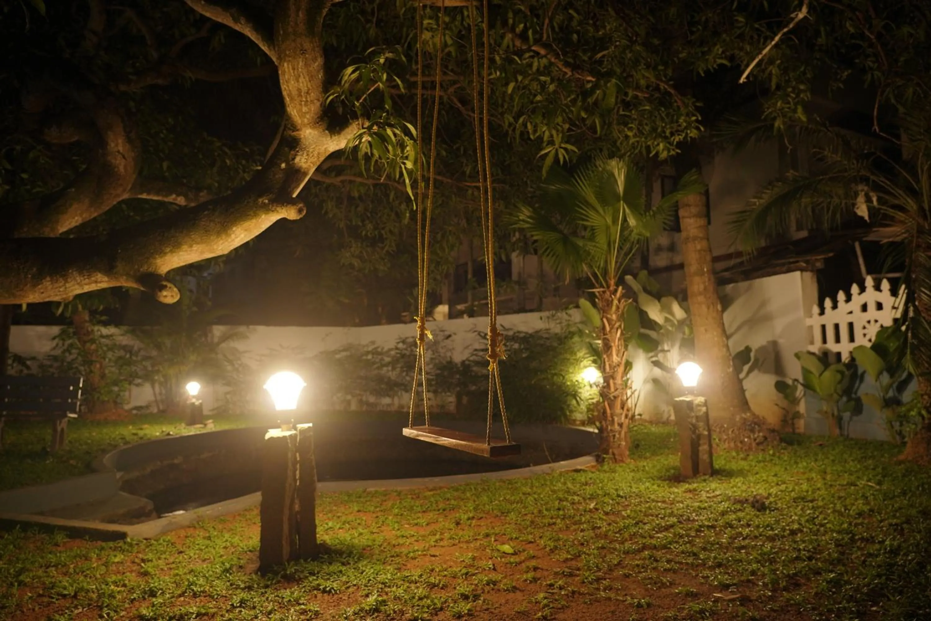 Entertainment in Alfred Place