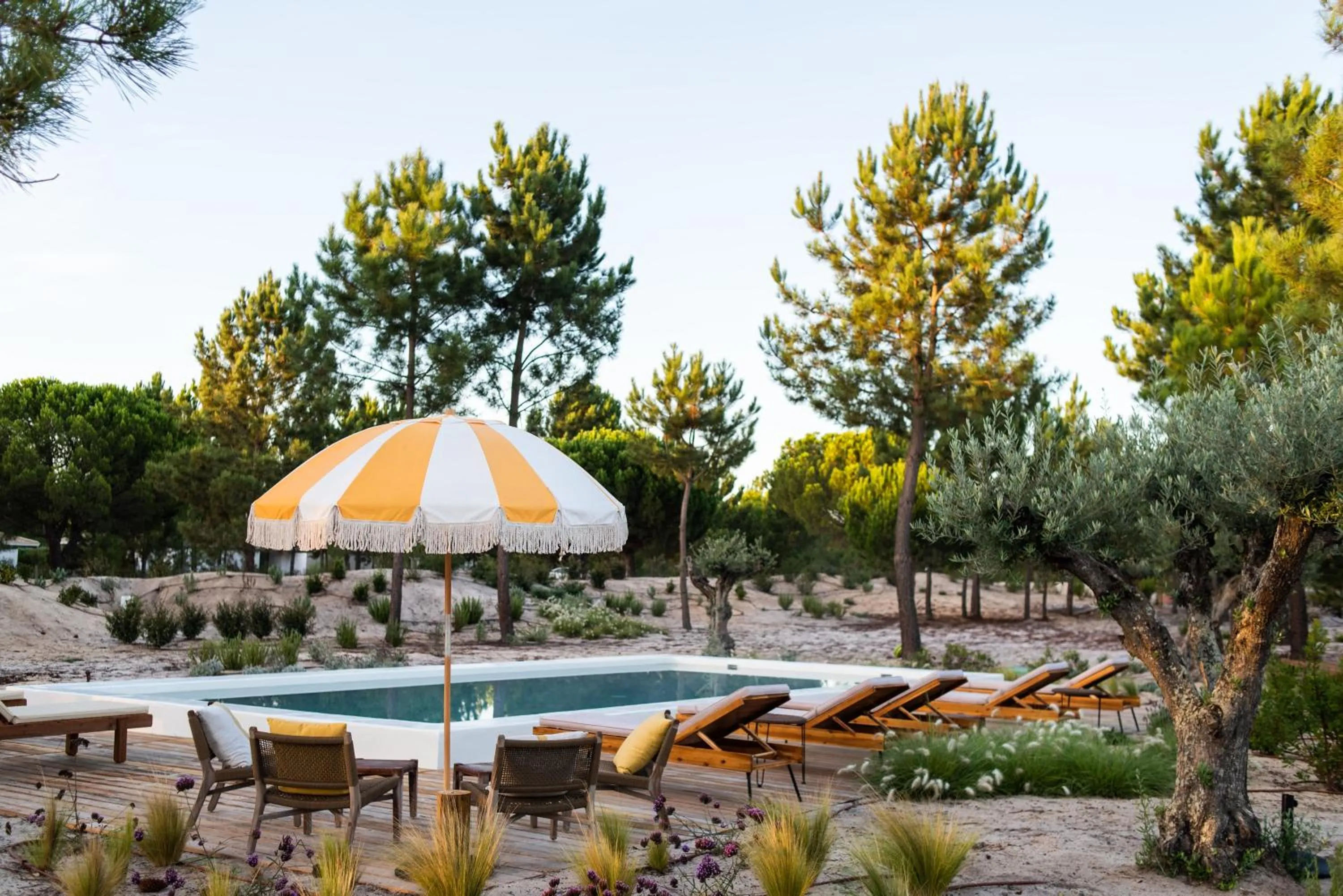 Natural landscape in Independente Comporta