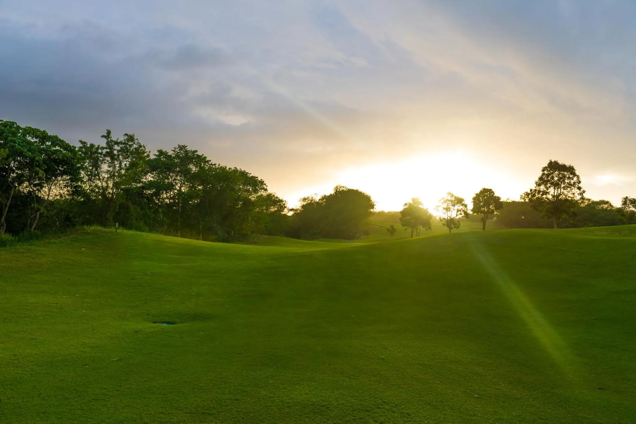 Natural landscape in Microtel by Wyndham South Forbes near Nuvali