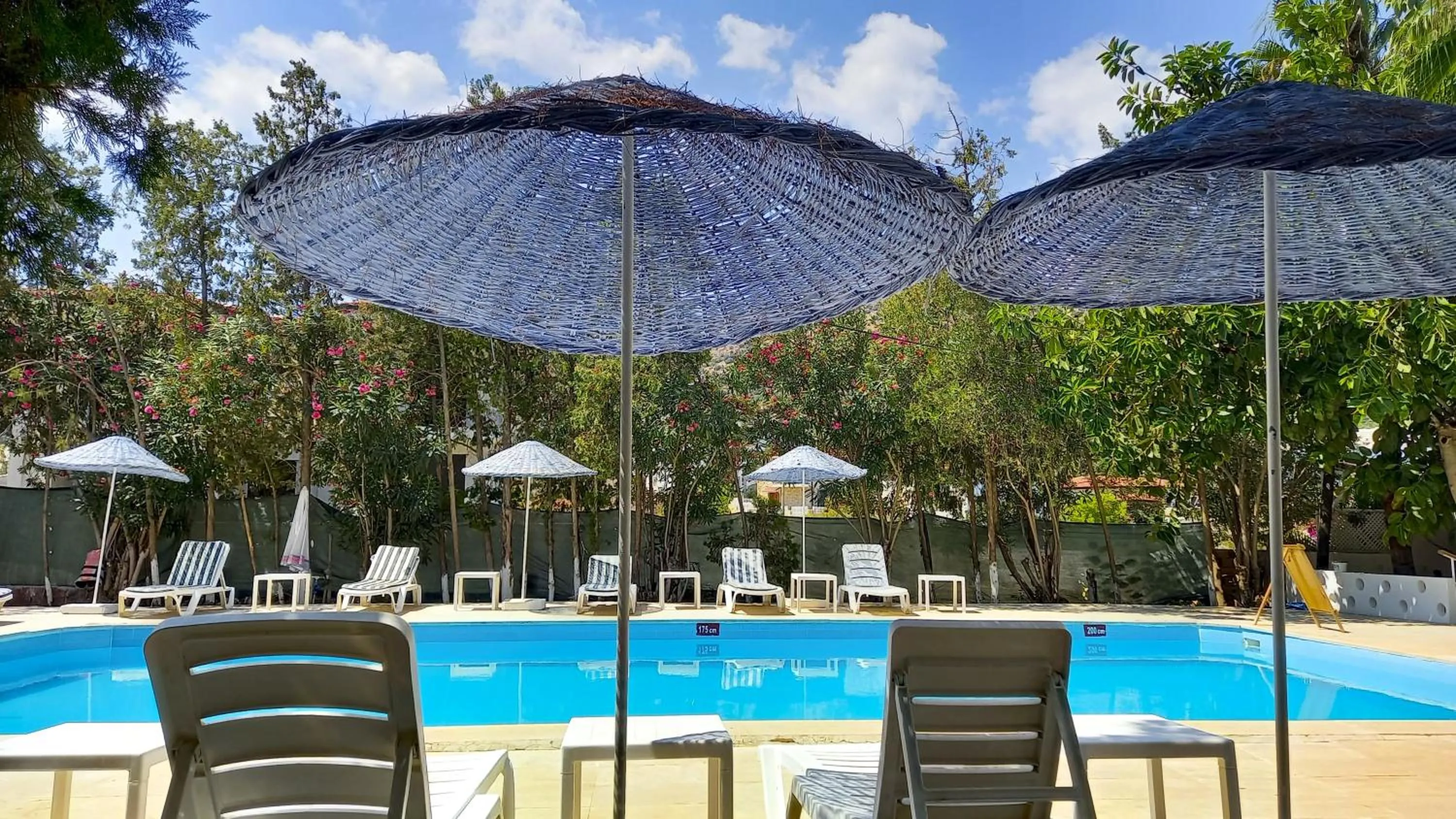Pool view in Hotel Tropicana