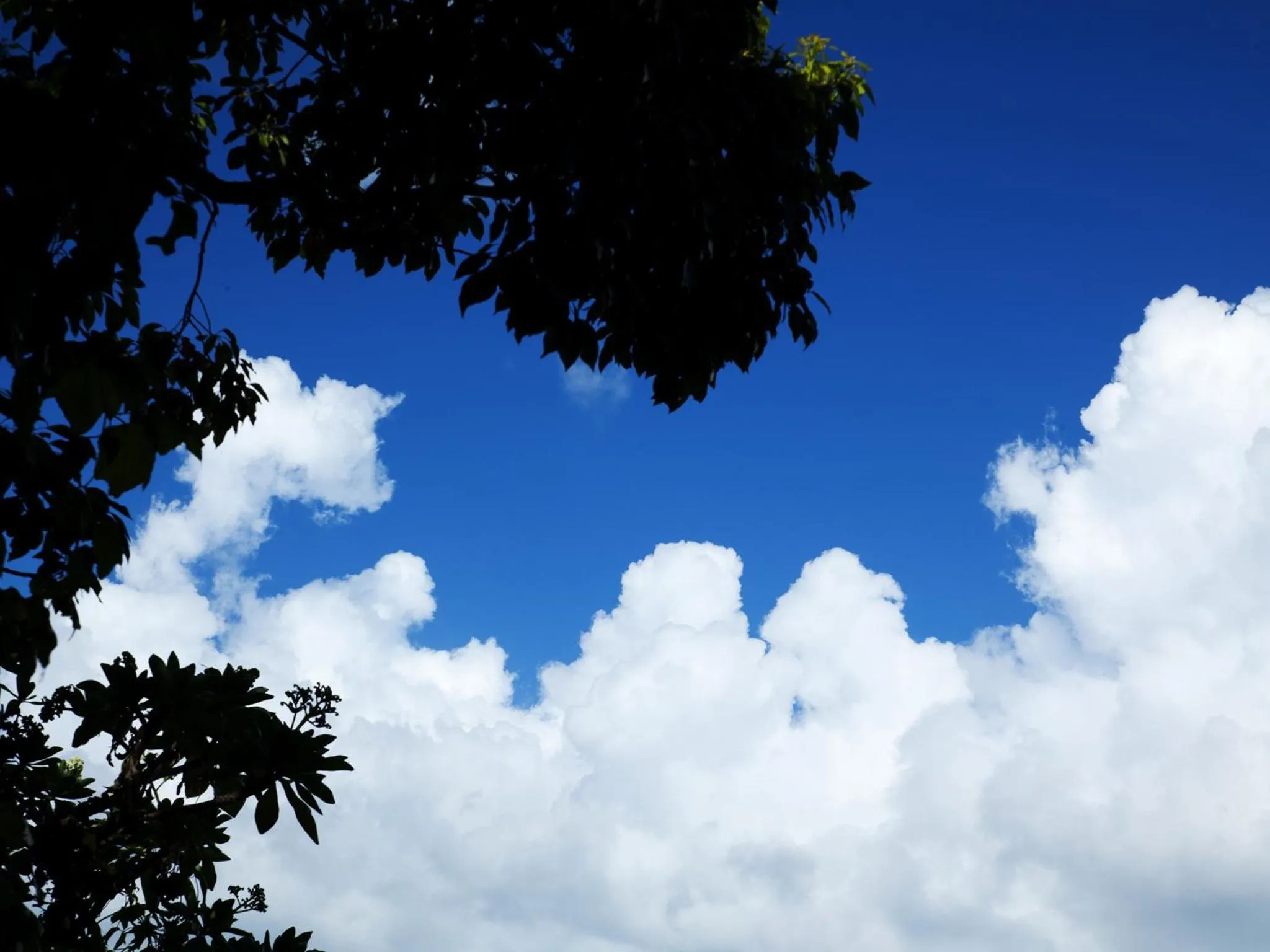 Other in Coco Garden Resort Okinawa