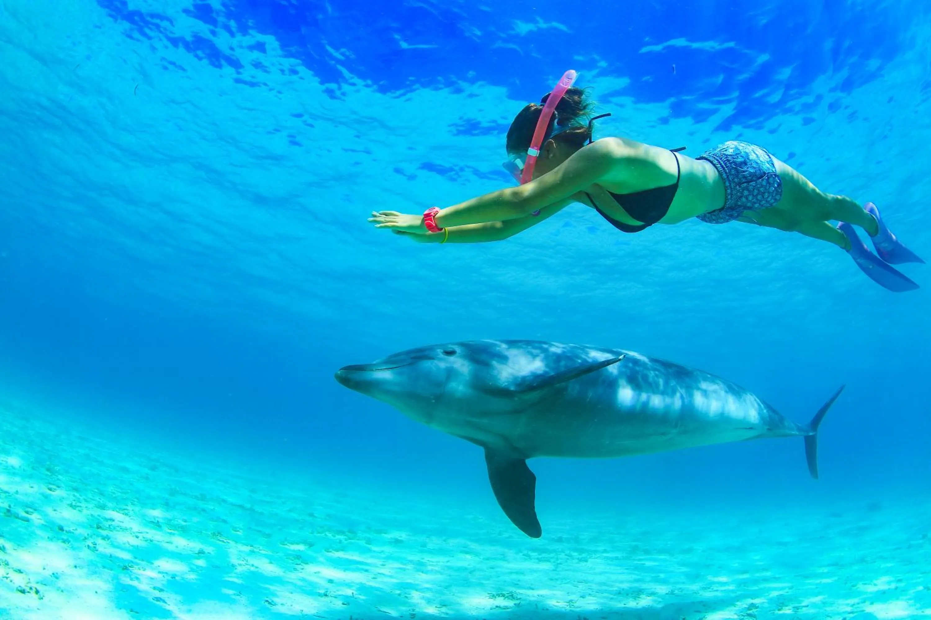 Activities in Renaissance Okinawa Resort