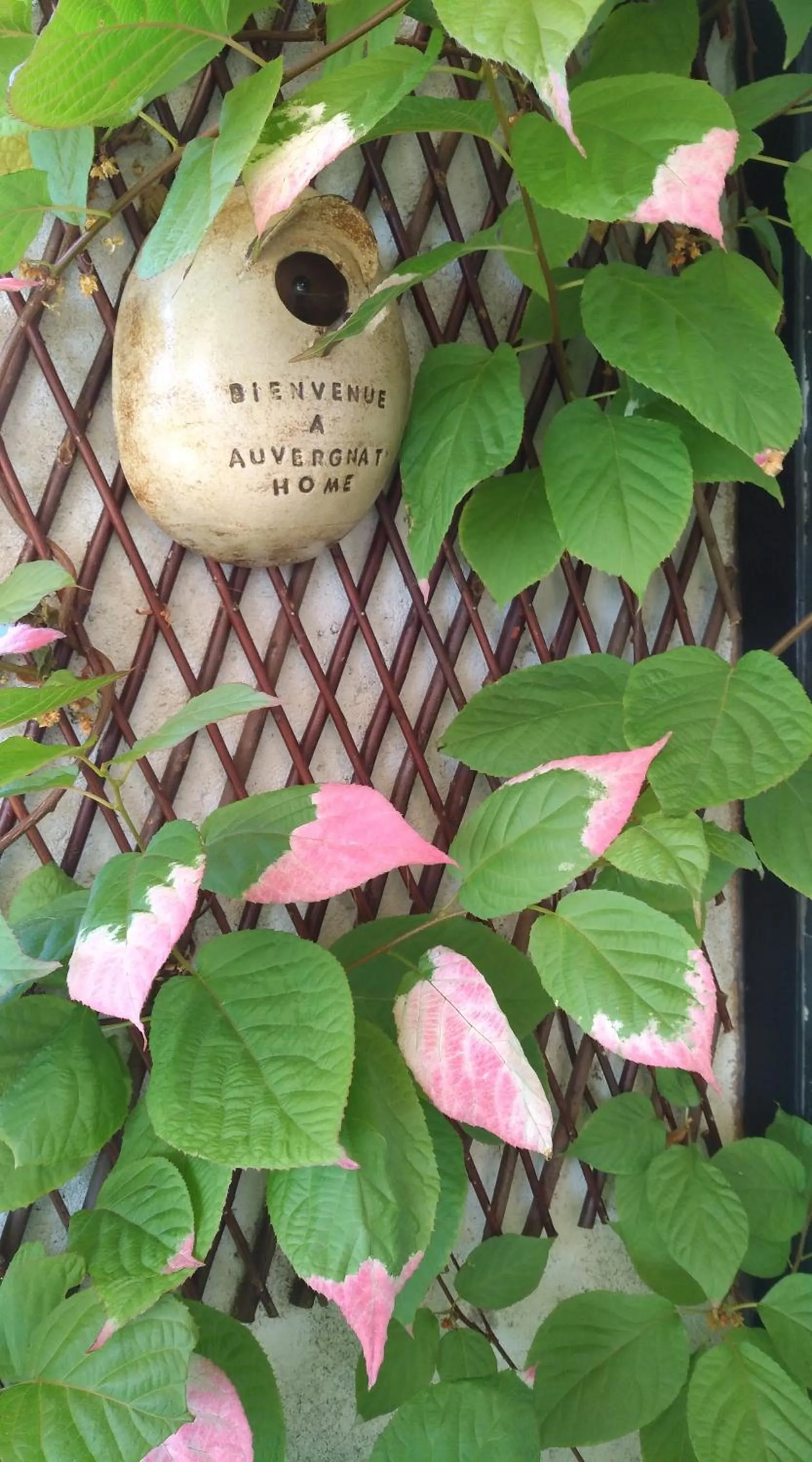 Decorative detail in Auvergnat'Home