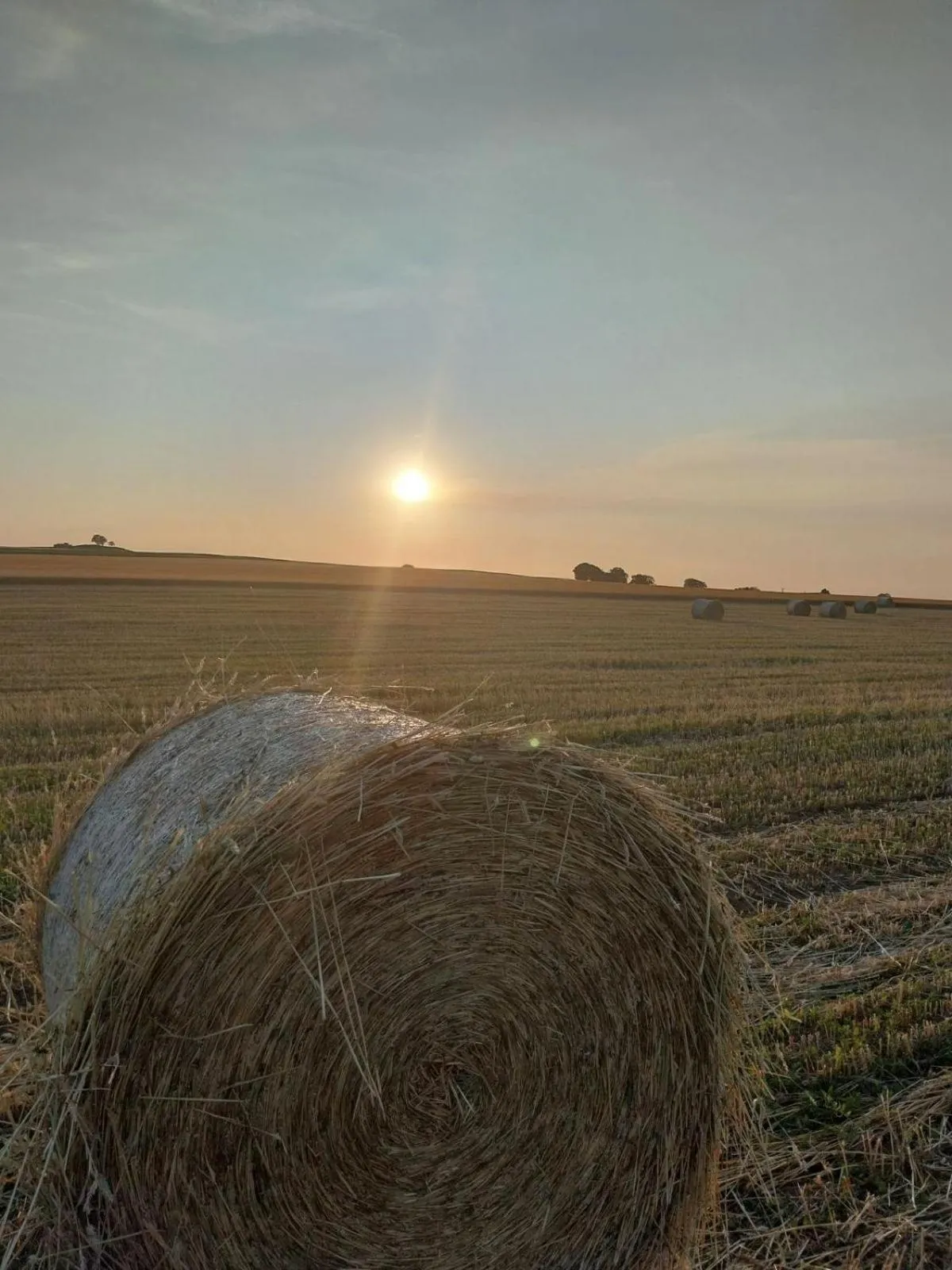 Natural landscape in Auvergnat'Home