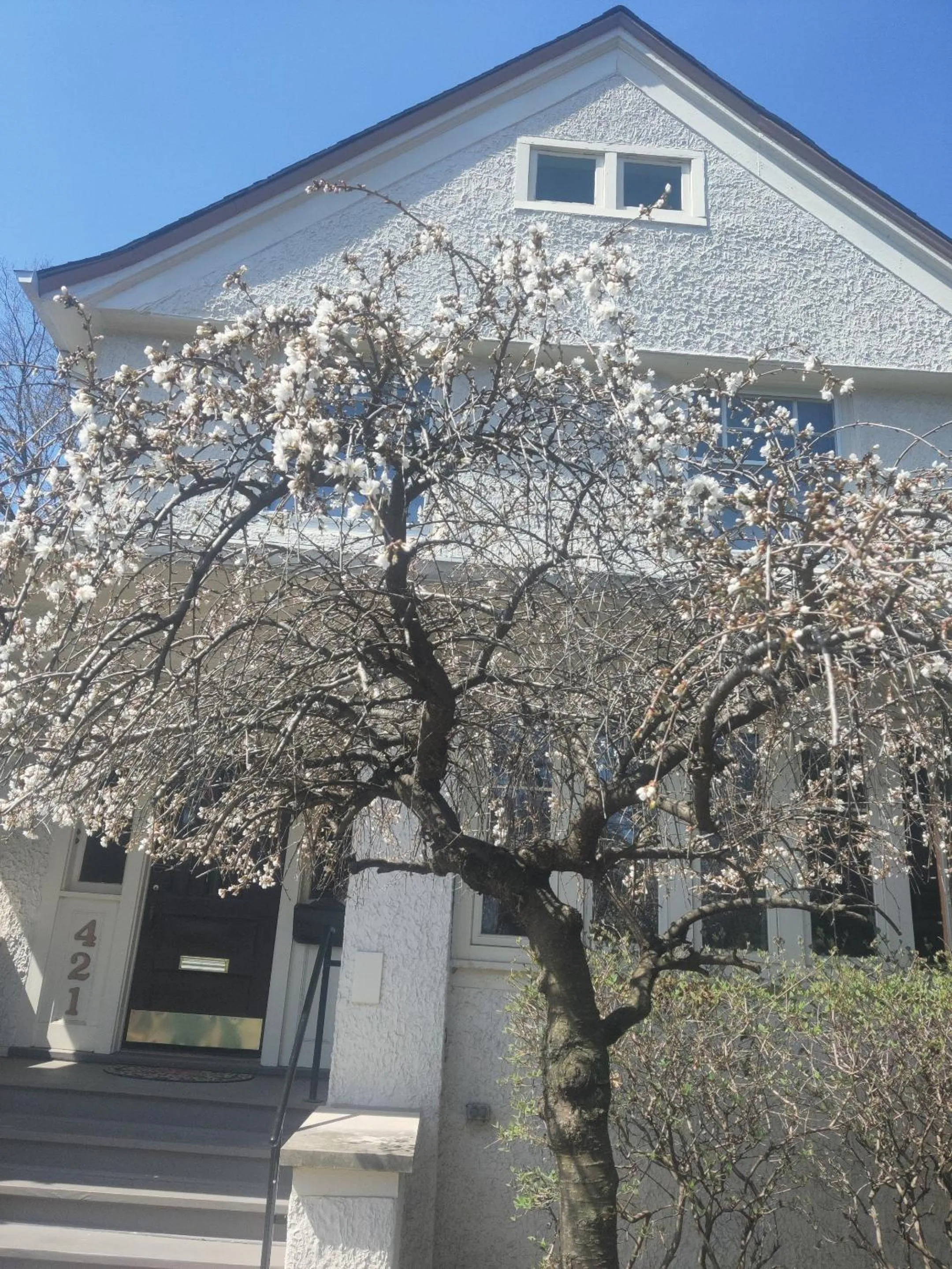 Other in Historic Oak Park Residence