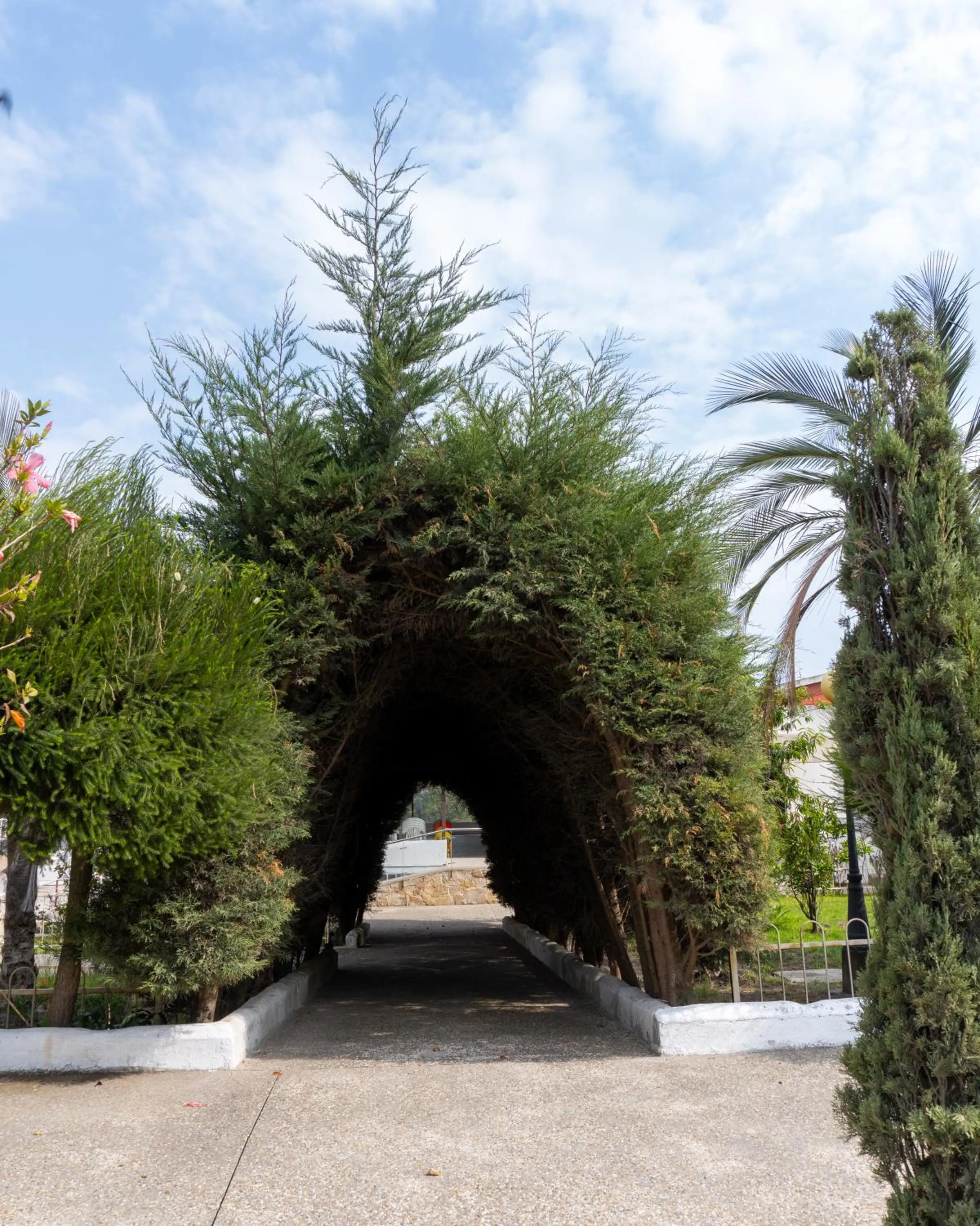 Garden in Chaupimundo Lodge