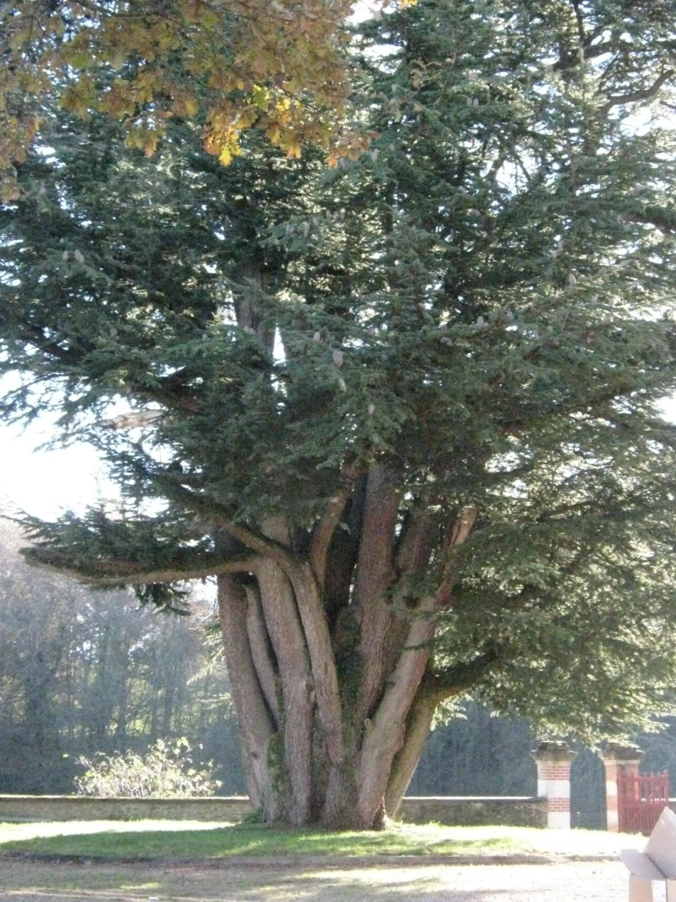Facade/entrance in Chateau Lezat - Chambres d'Hotes-Chambre d'hôtes