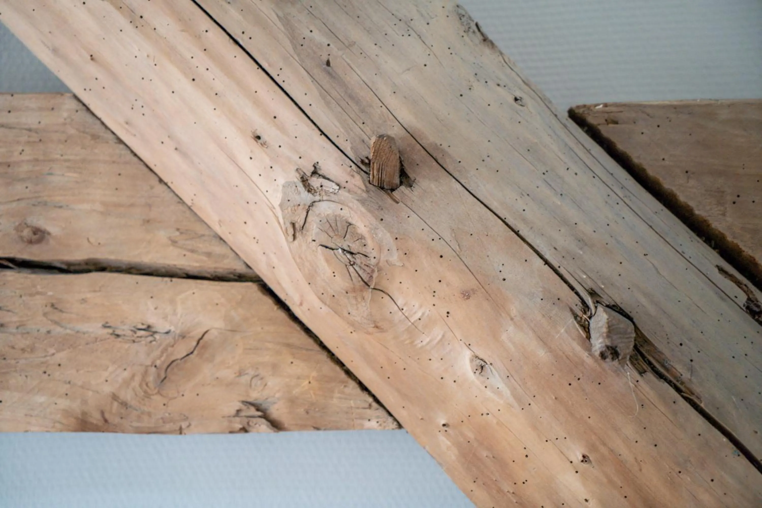 Decorative detail in Hoeve de Bongerd