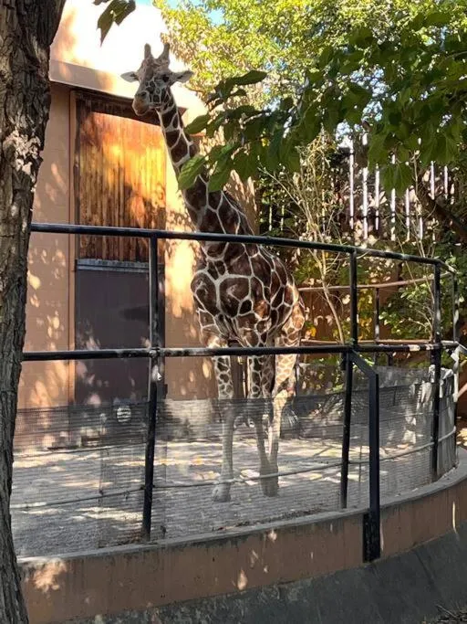 Saguaro at Cactus Flower-HOT TUB-Pet Friendly-No Pet Fees!