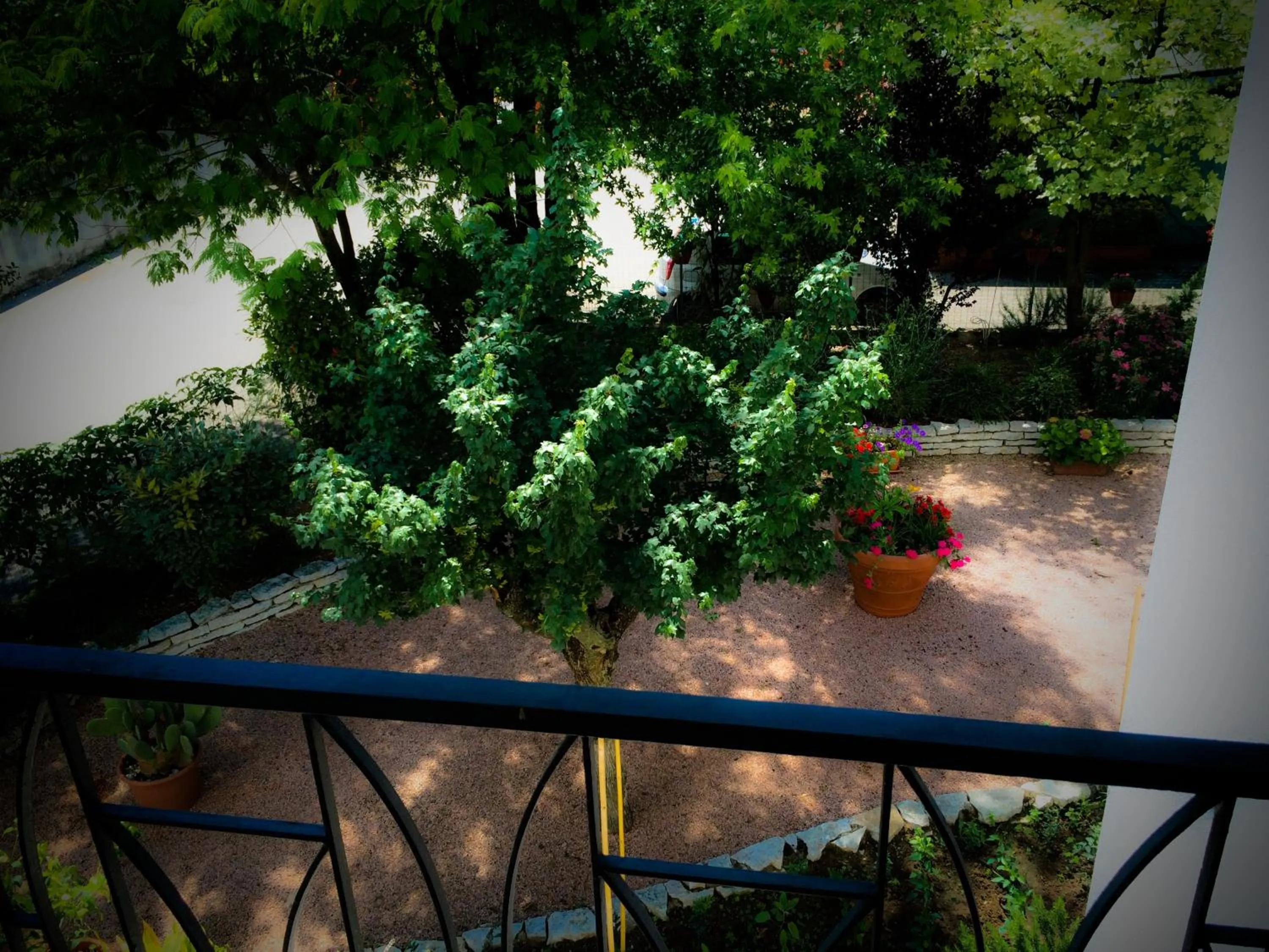 Photo of the whole room in Bed & Breakfast Don Carlos