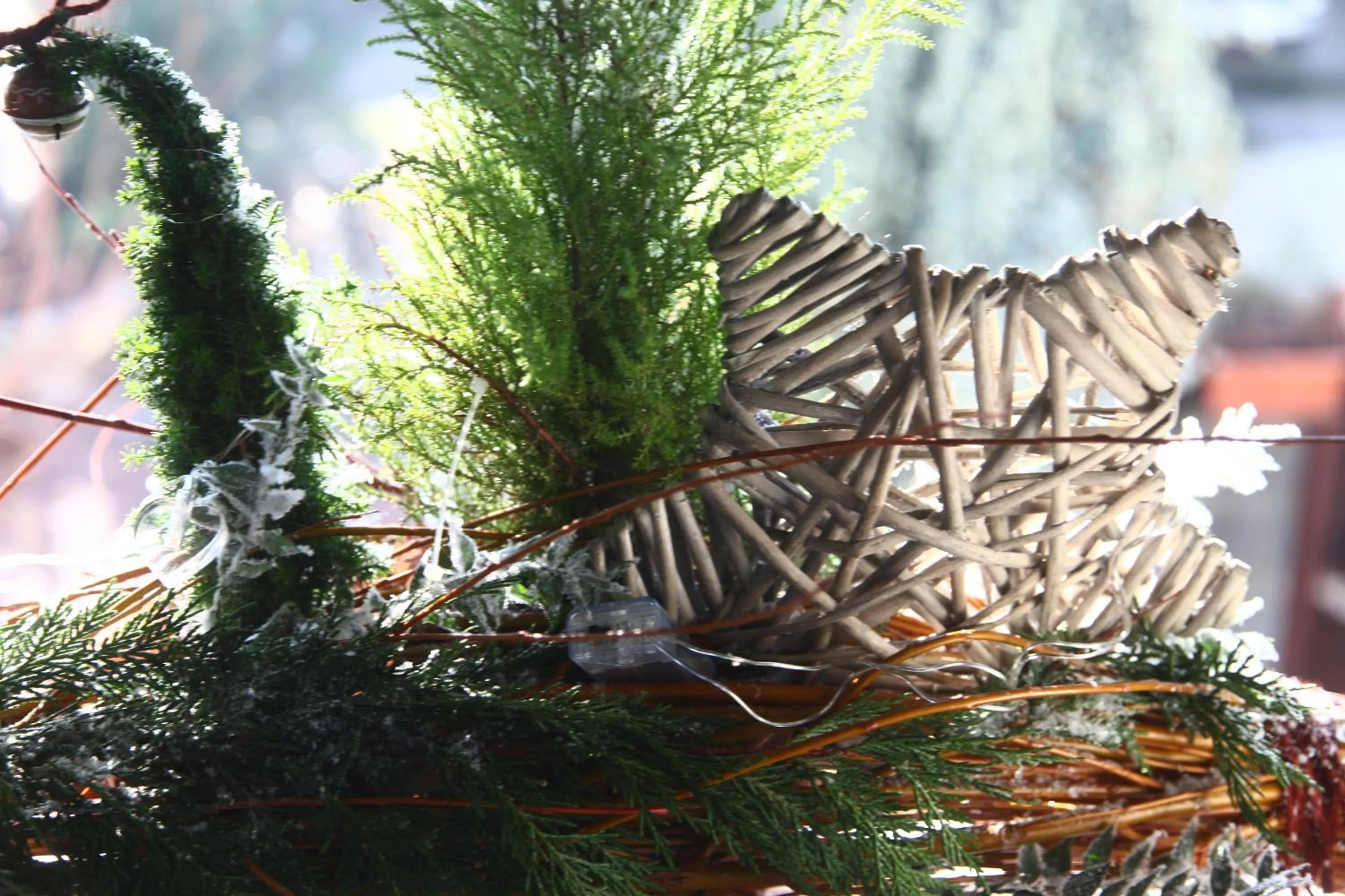 Bed & Breakfast Don Carlos