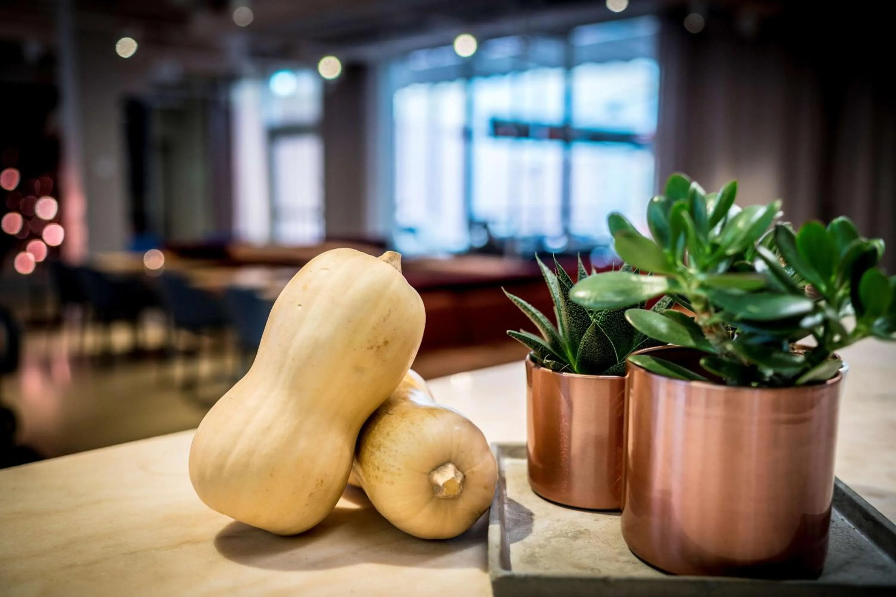 Lounge or bar in Scandic No 53