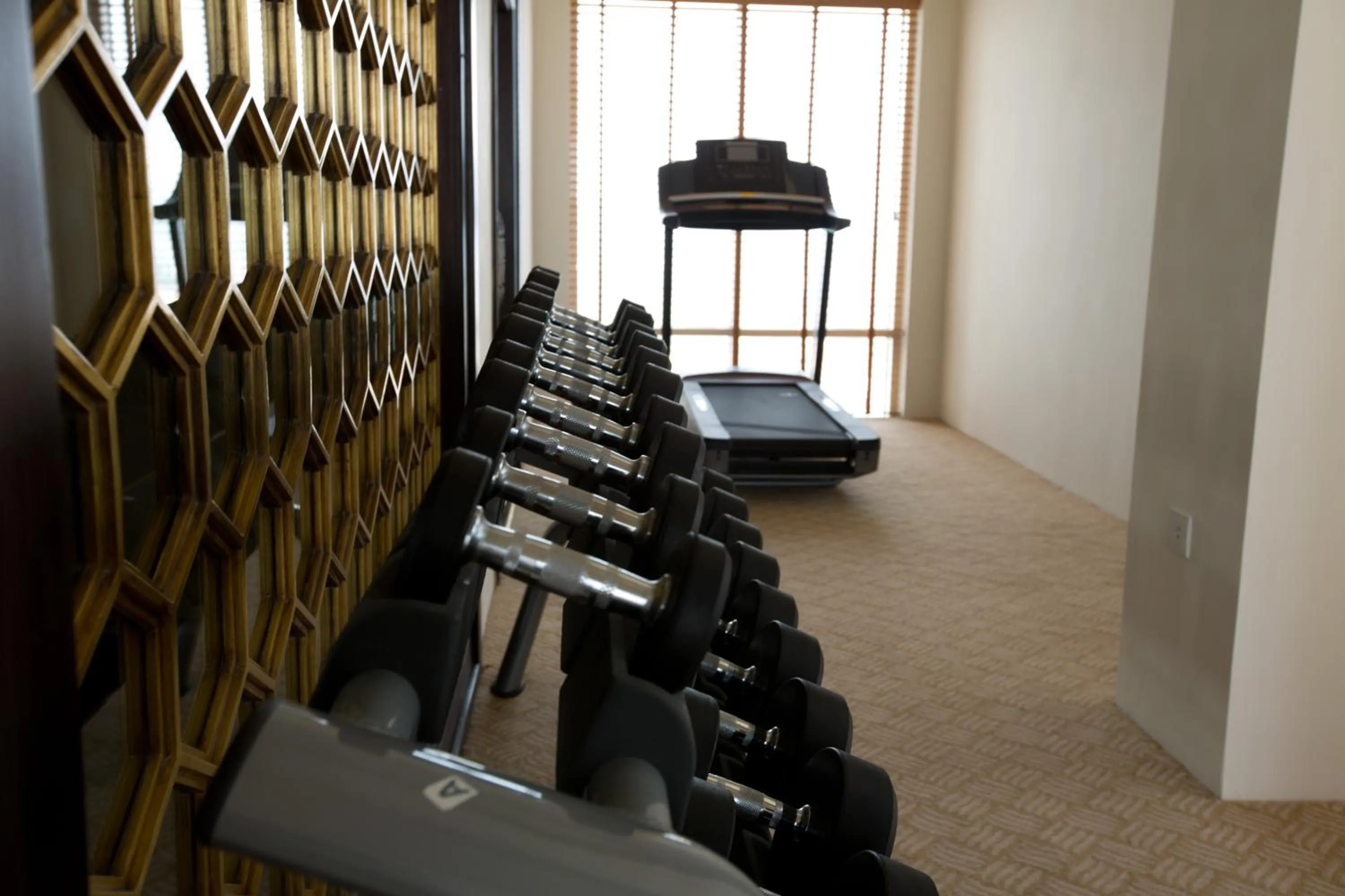 Fitness centre/facilities in Eldora Hotel